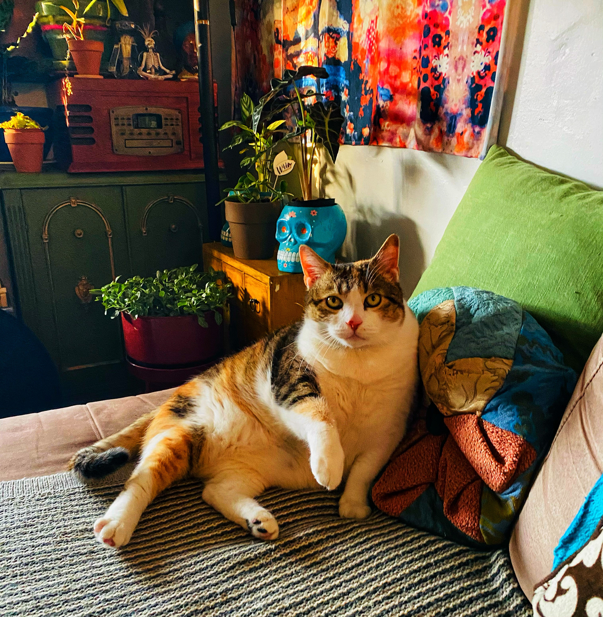 "Oh, were sitting here?"