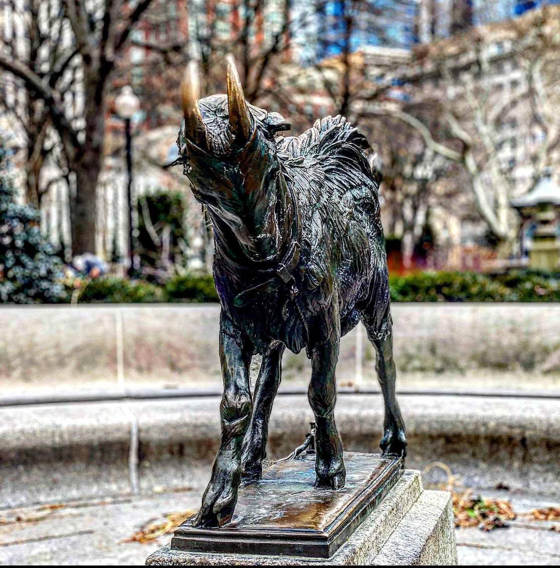 The Billy Goat, Rotten House Square