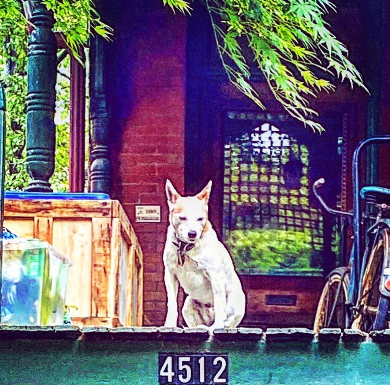 Enter at your own risk