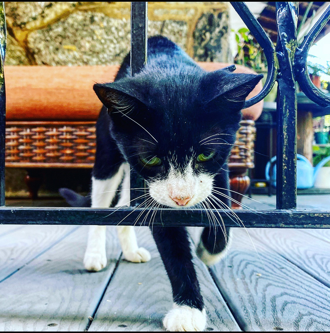 Steppin' through