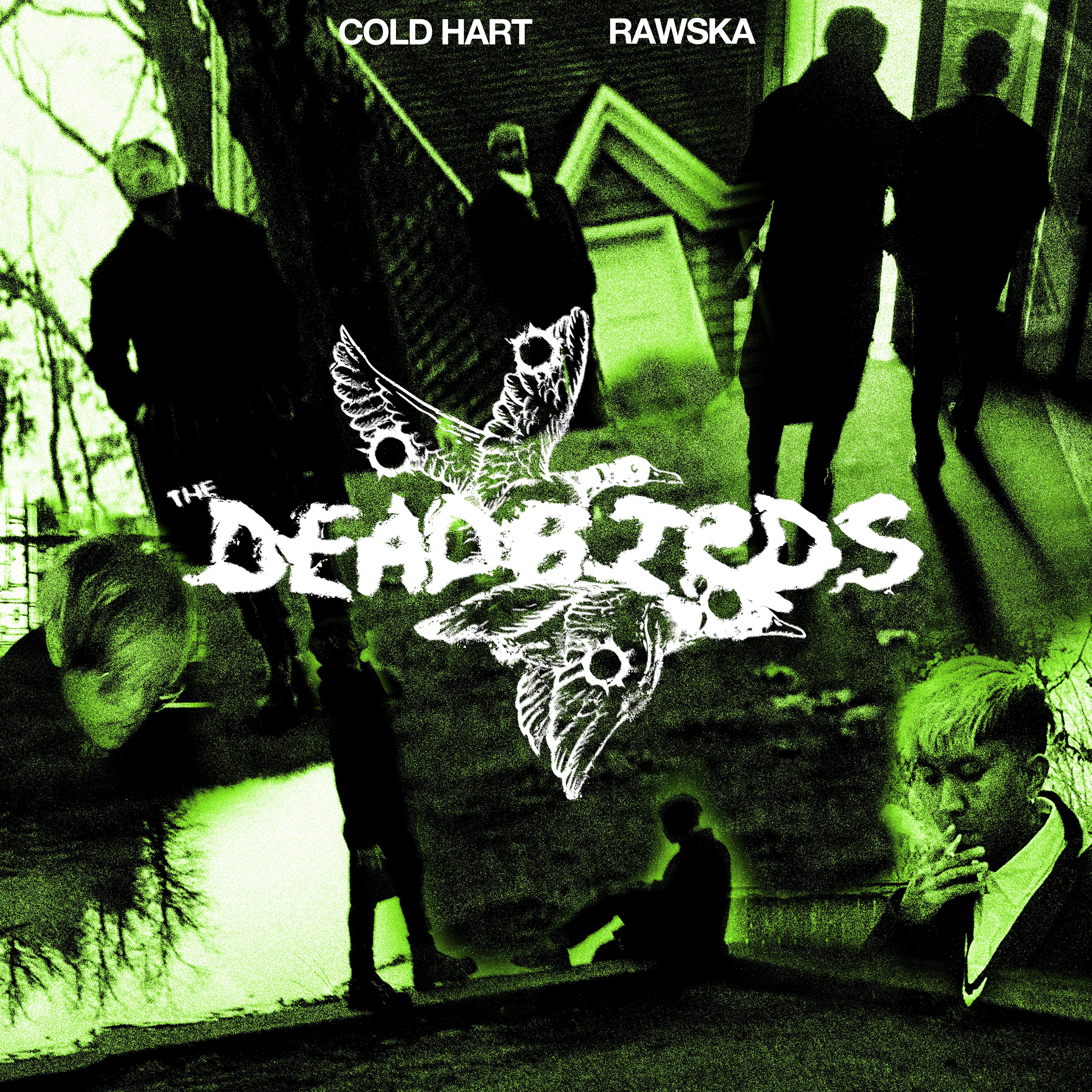 Official Cover of "The DEADBIRDS" by Cold Hart & Rawska