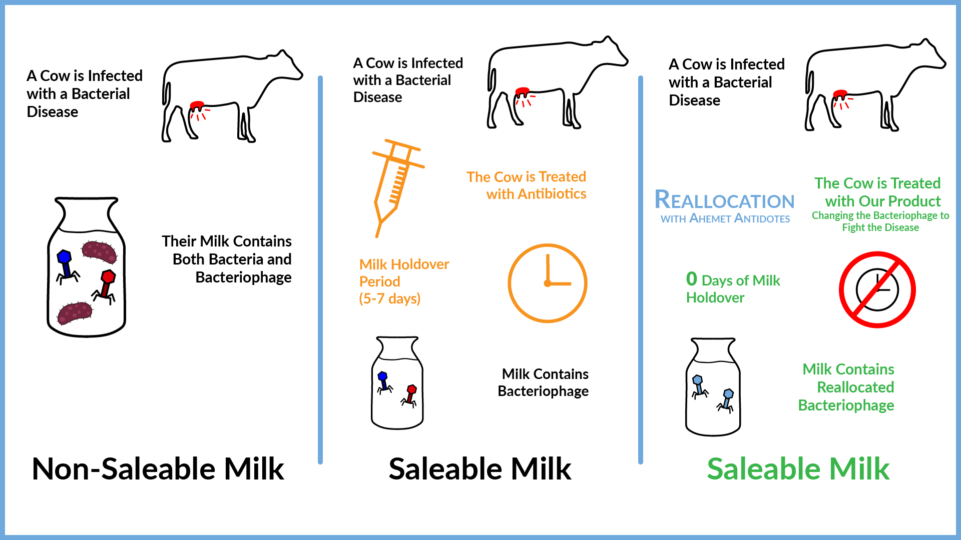 Flyer illustrating the usage of bacteriophage to treat cow milk without holdover for farmers. All assets created by me in Adobe Illustrator