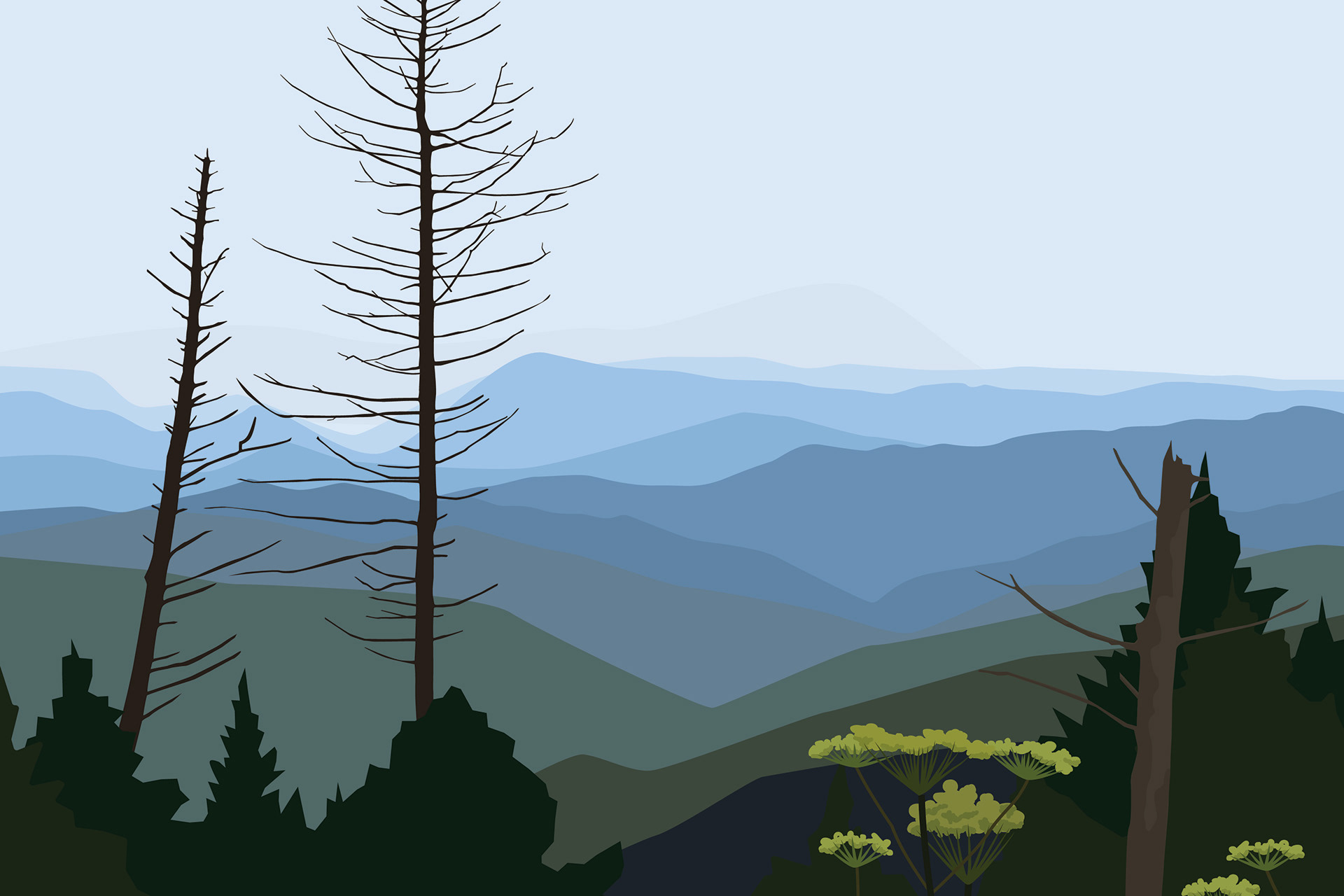 Great Smoky Mountains, NC