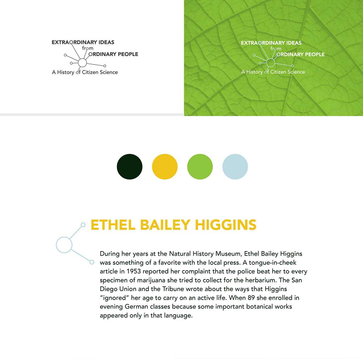 The title design in black and white and color above a sample of wall text with the exhibit’s color palette.