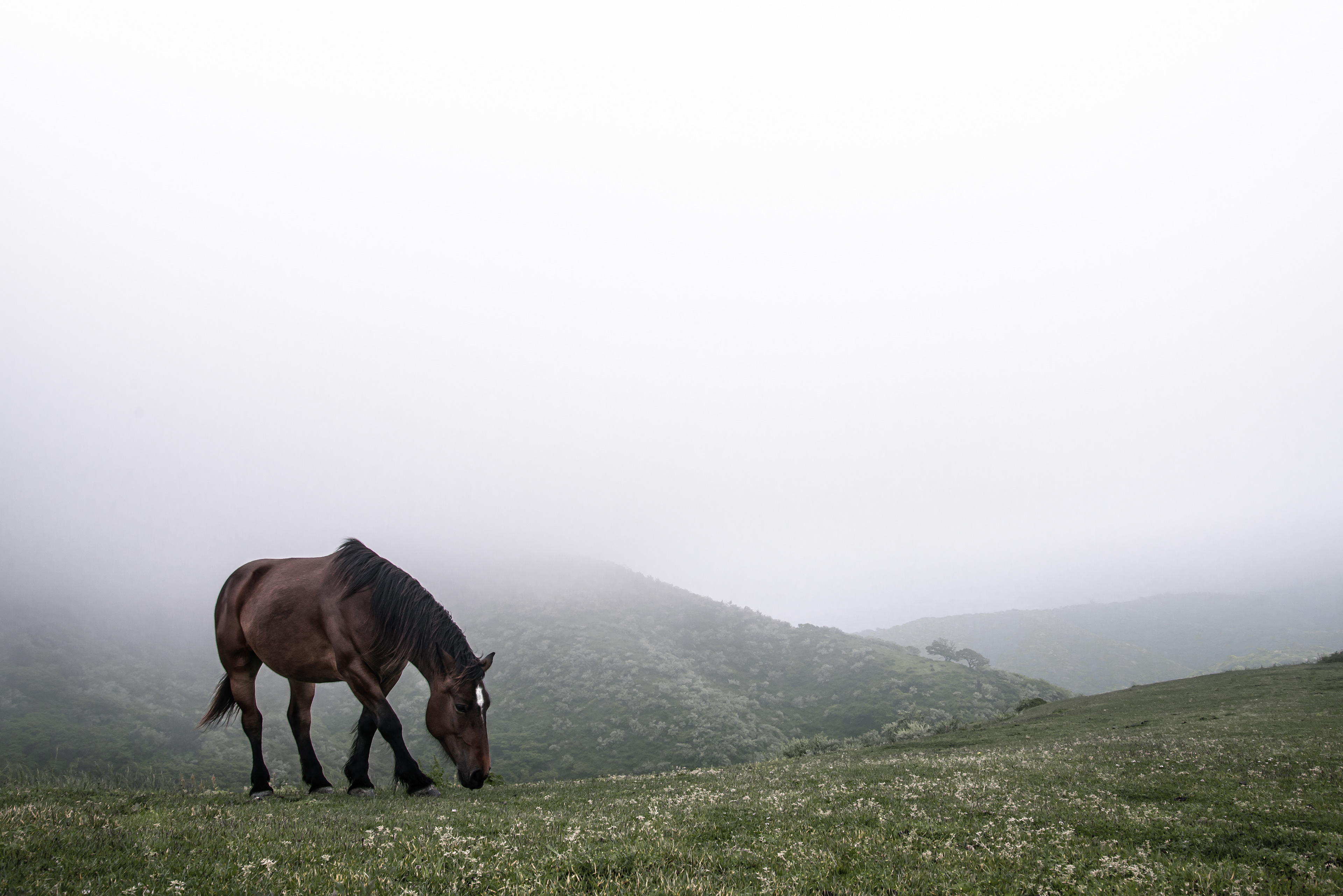 Photographer | Kouki Okoshi | Official - Landscape