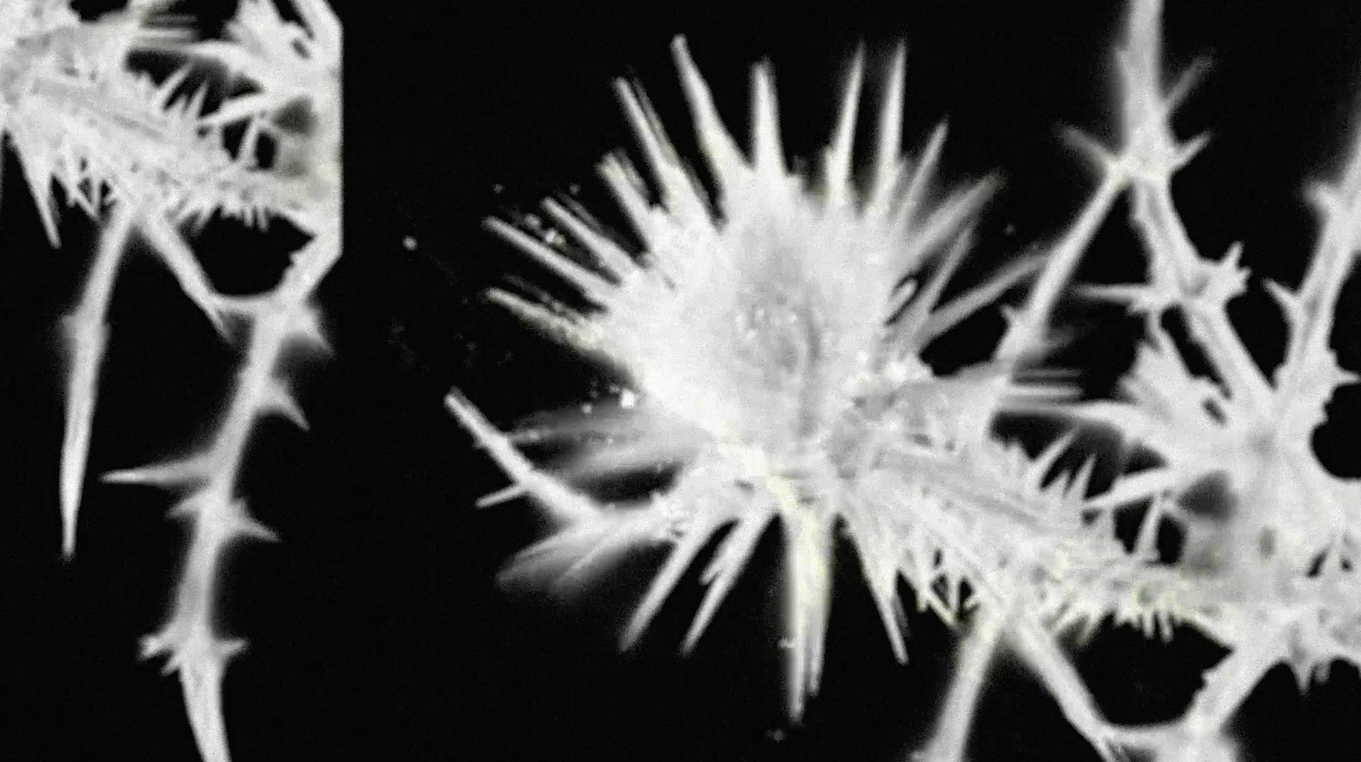 Healing | Spotify Canvas