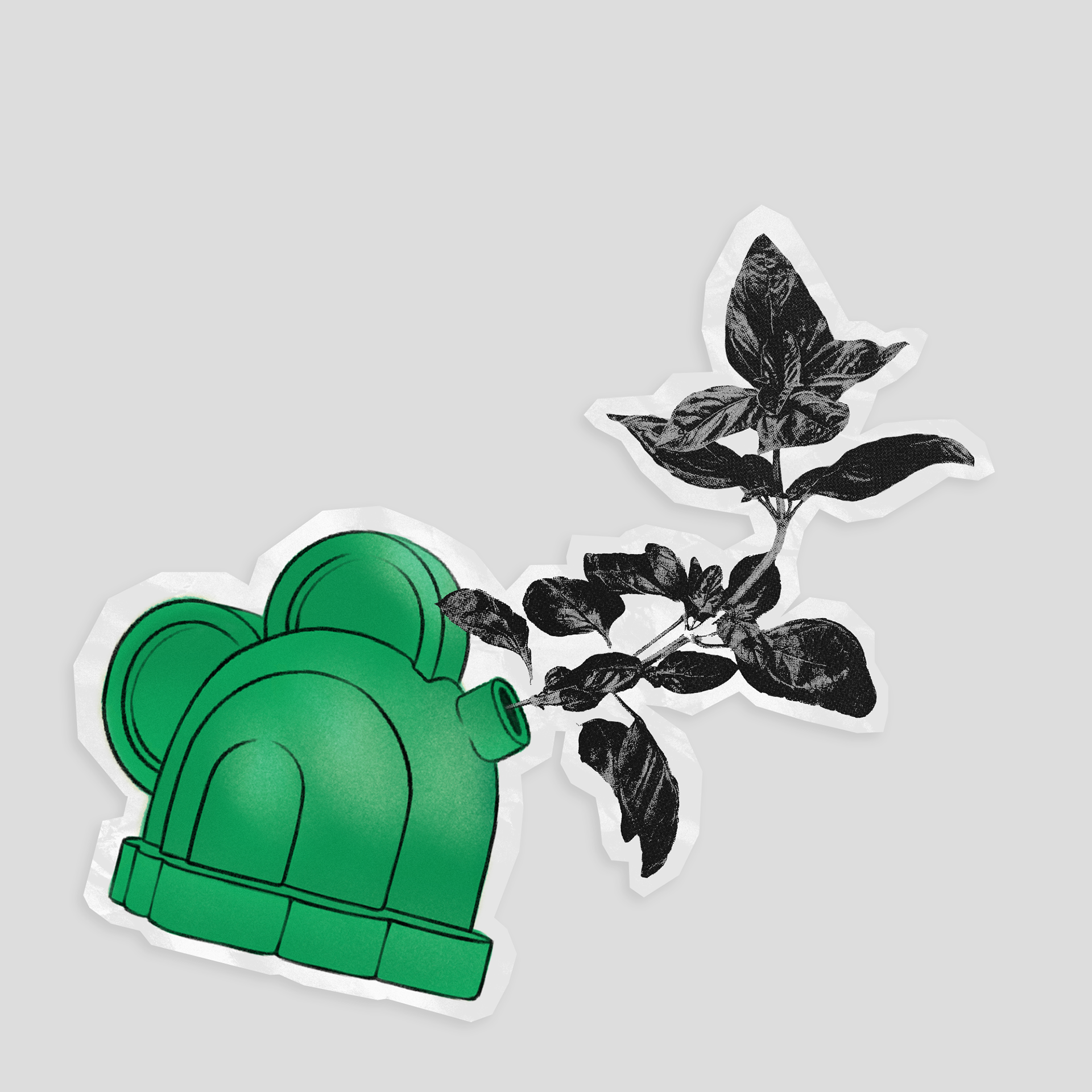 The Indian Memories | Video