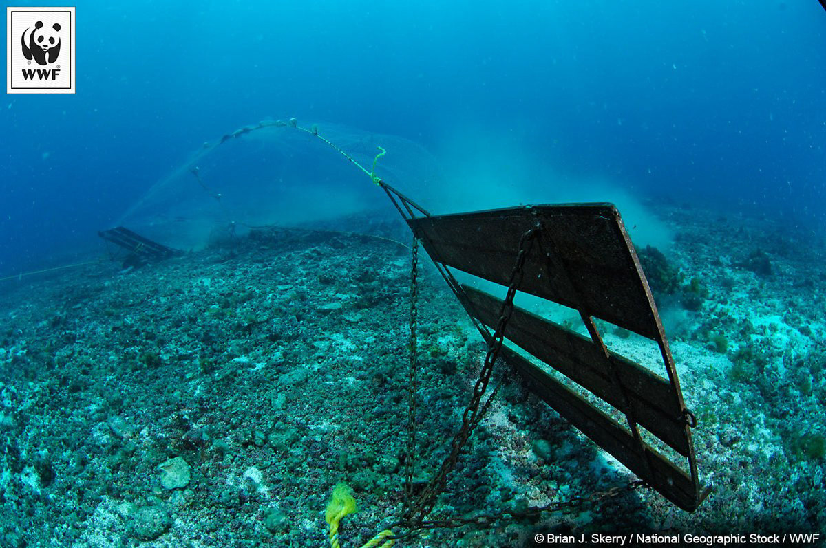 Traditional bottom trawling net.