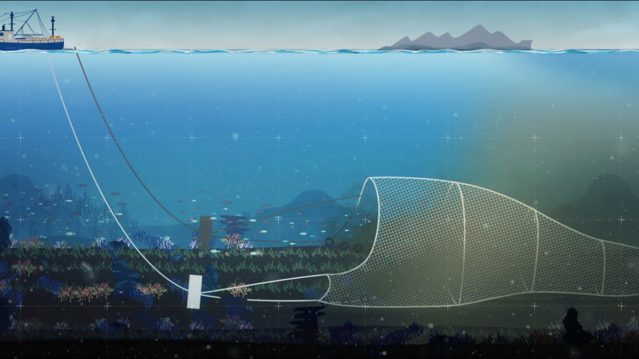 Traditional bottom trawling.