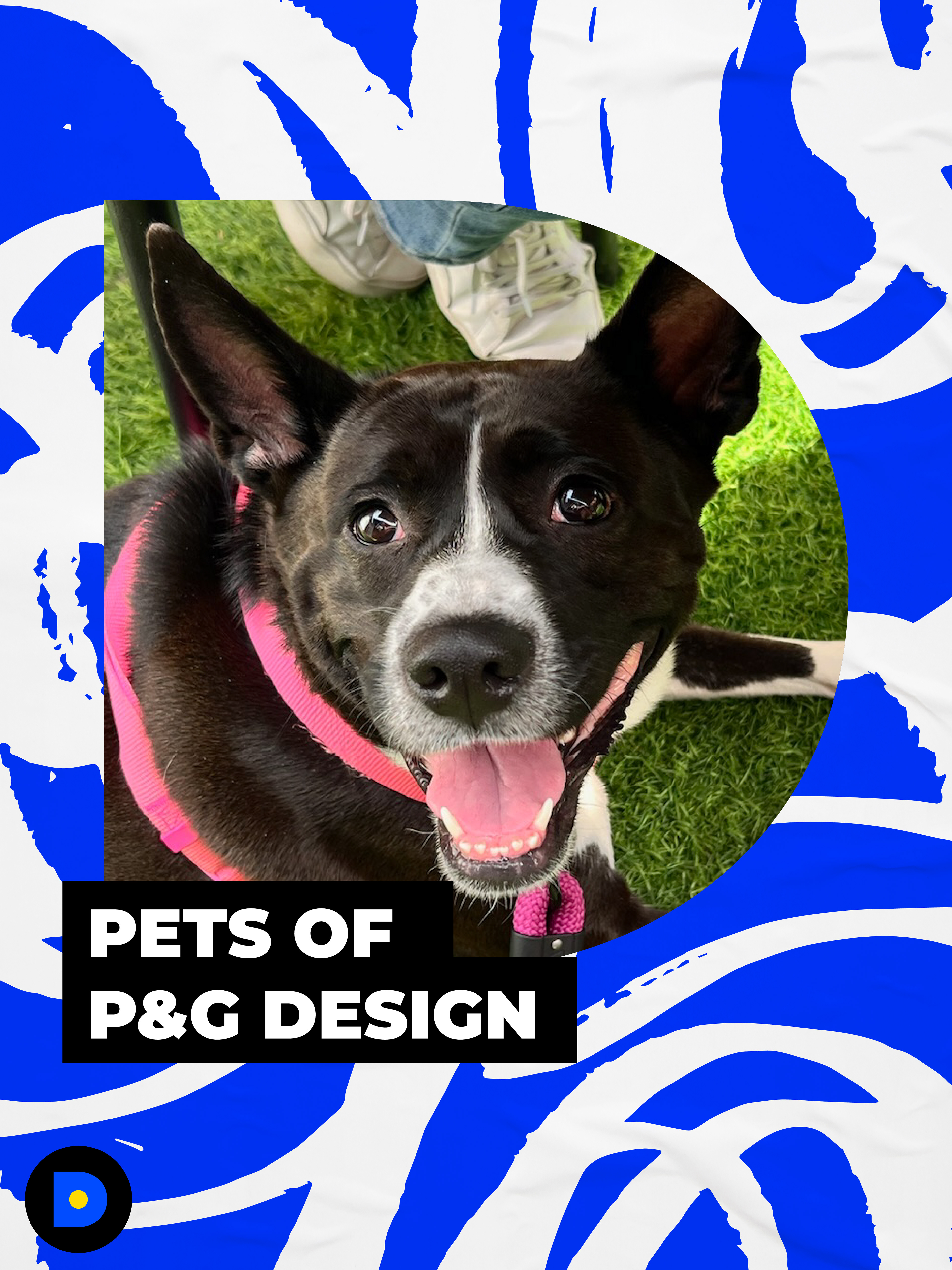 Nation Pet Day Post