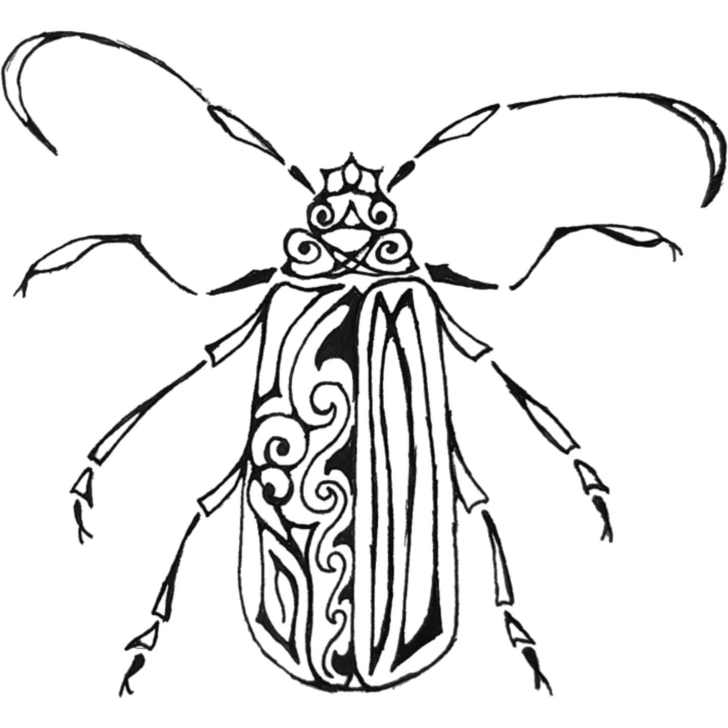 Beetle, Pen on Paper