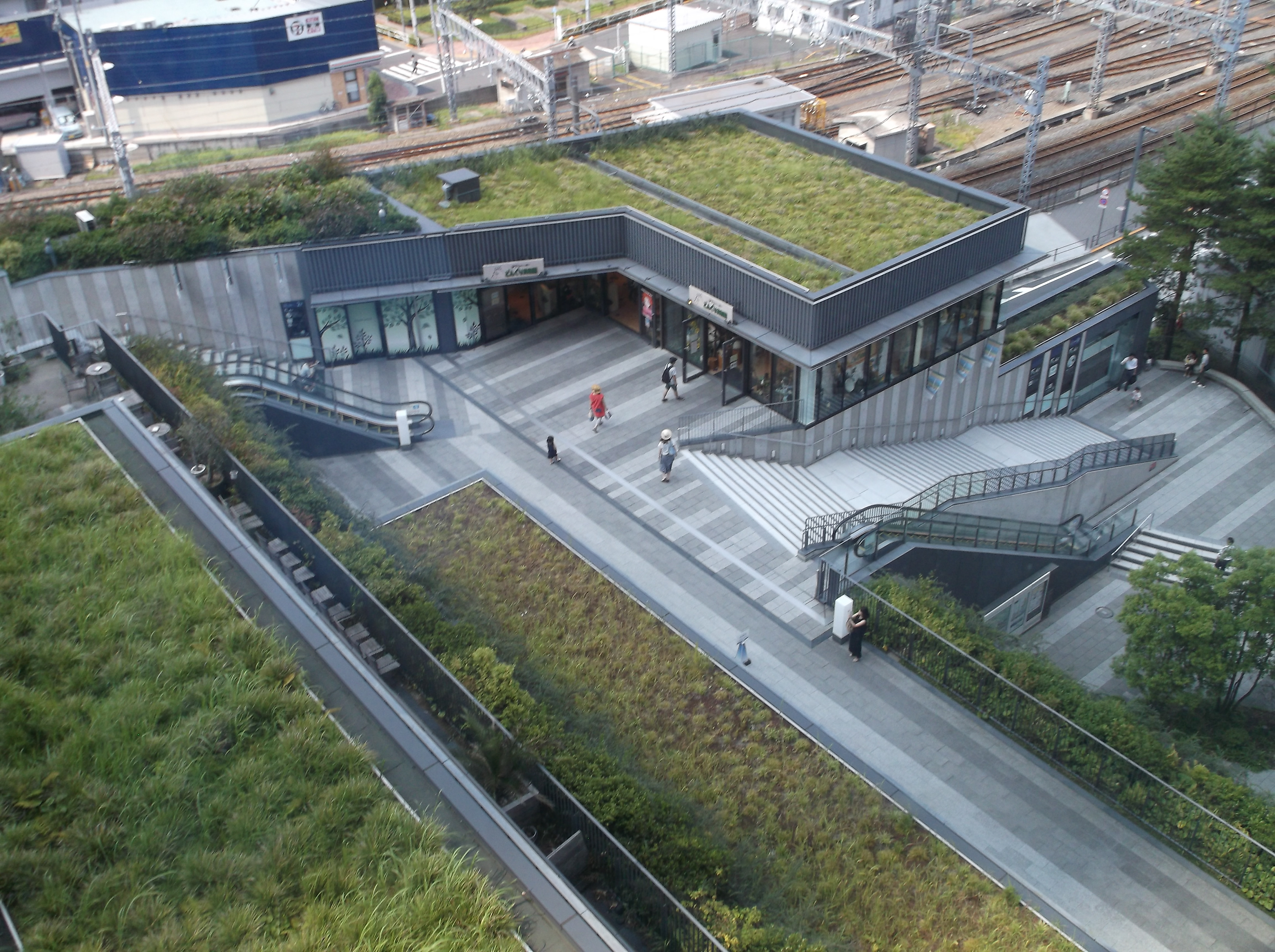 Grass Roofs, Photography 2017