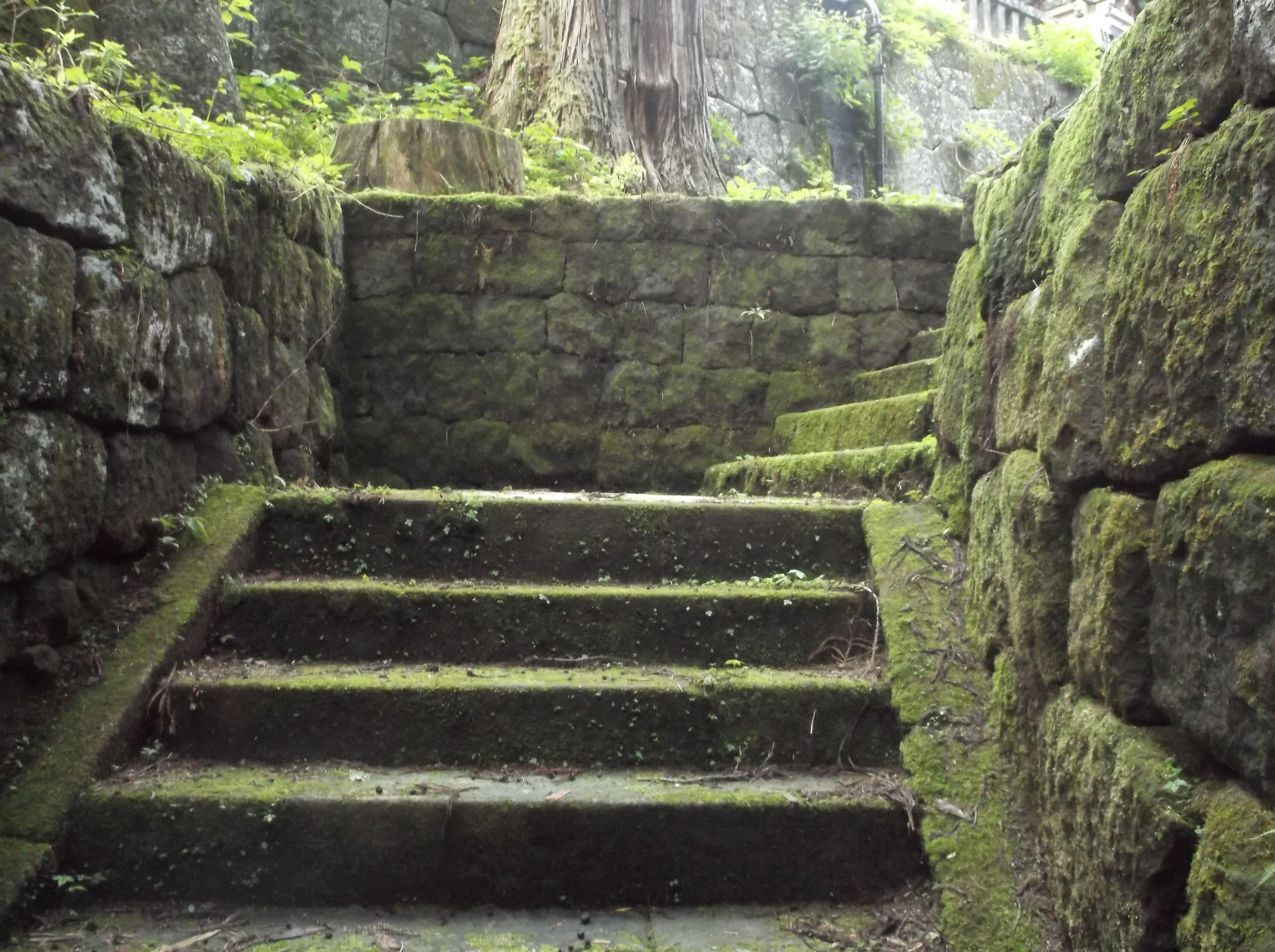 Where are we going, Photography, 2017