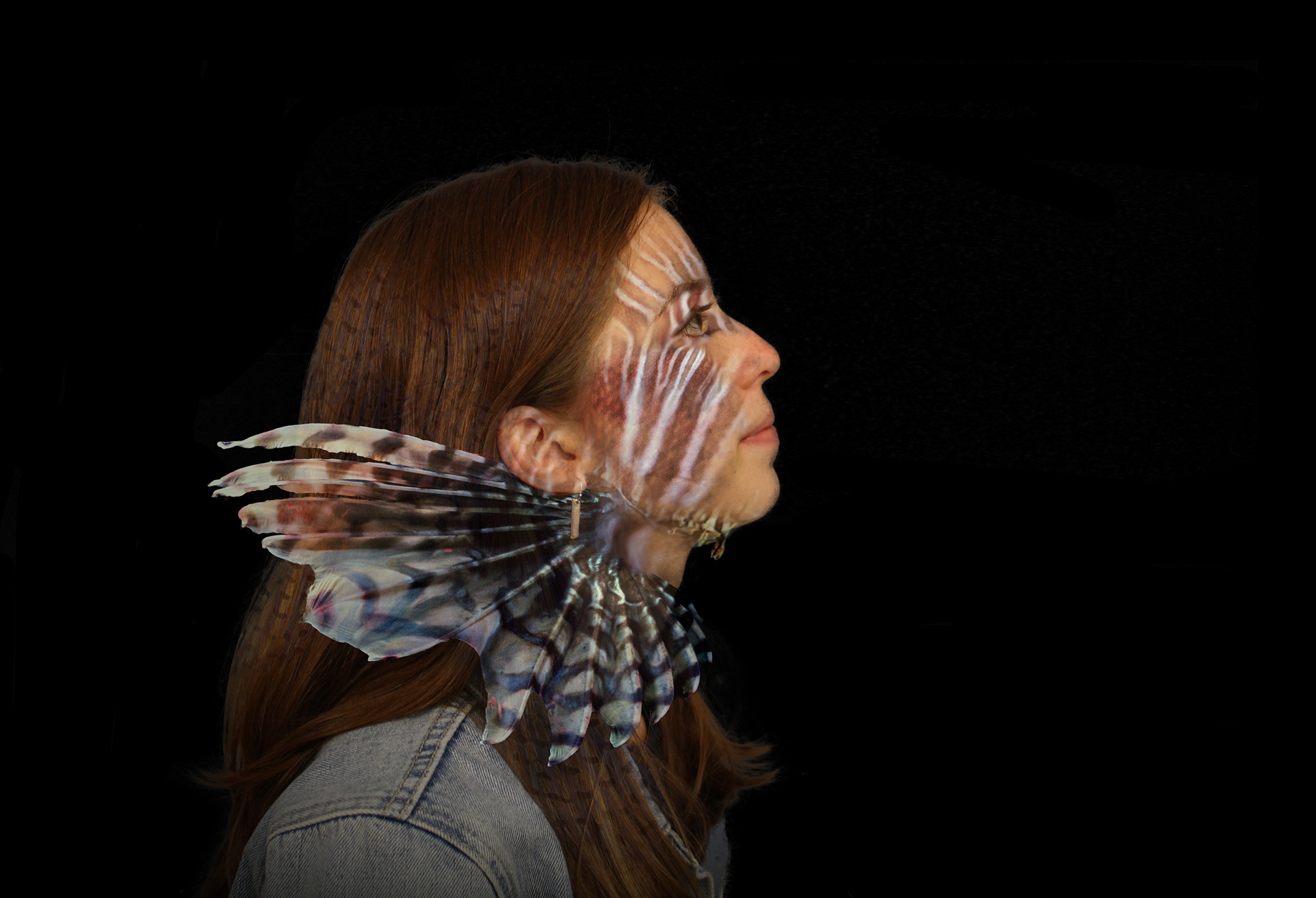 Animalize, Photography and Photoshop, 2019