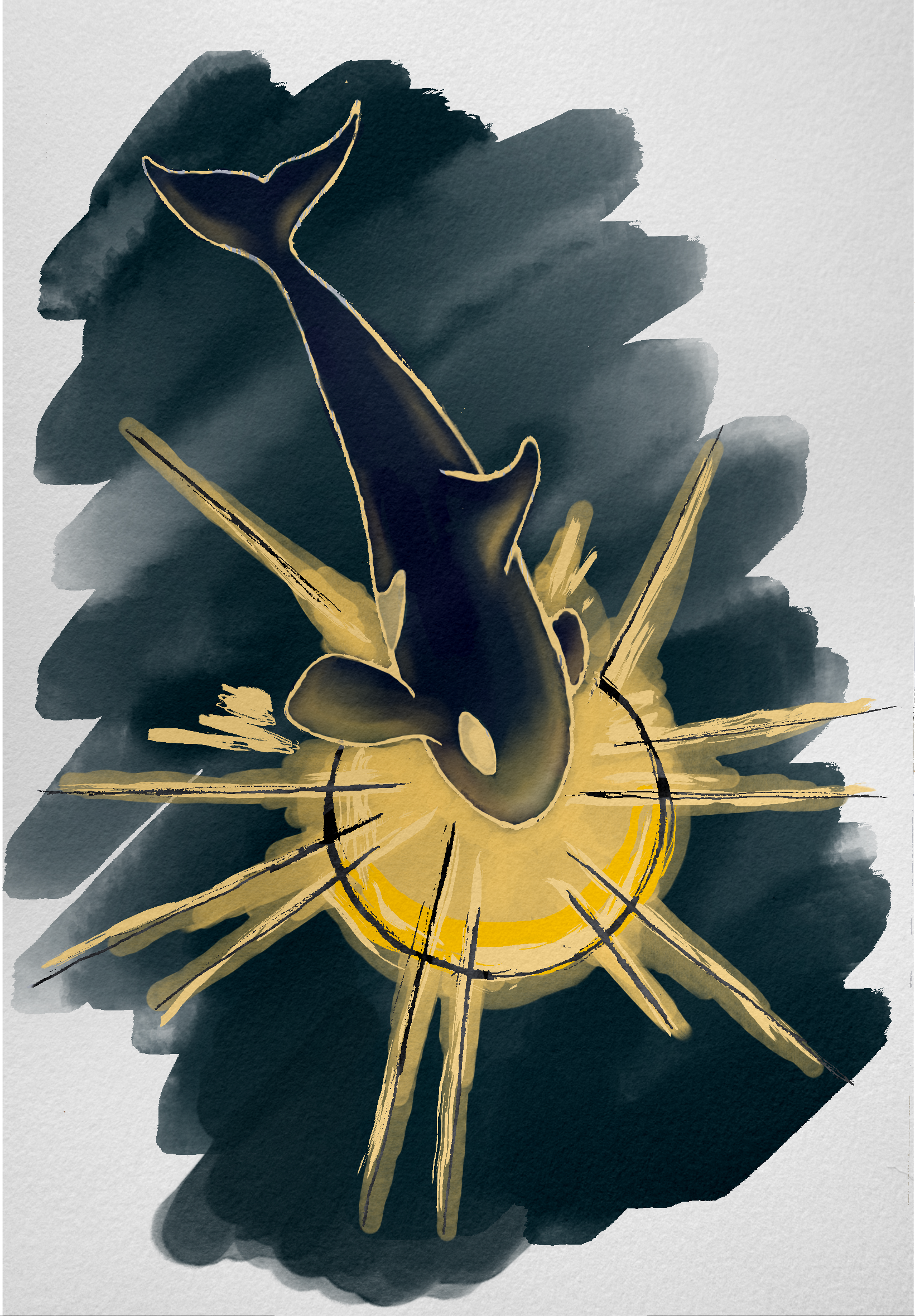 Orca Sun, Procreate, 2023