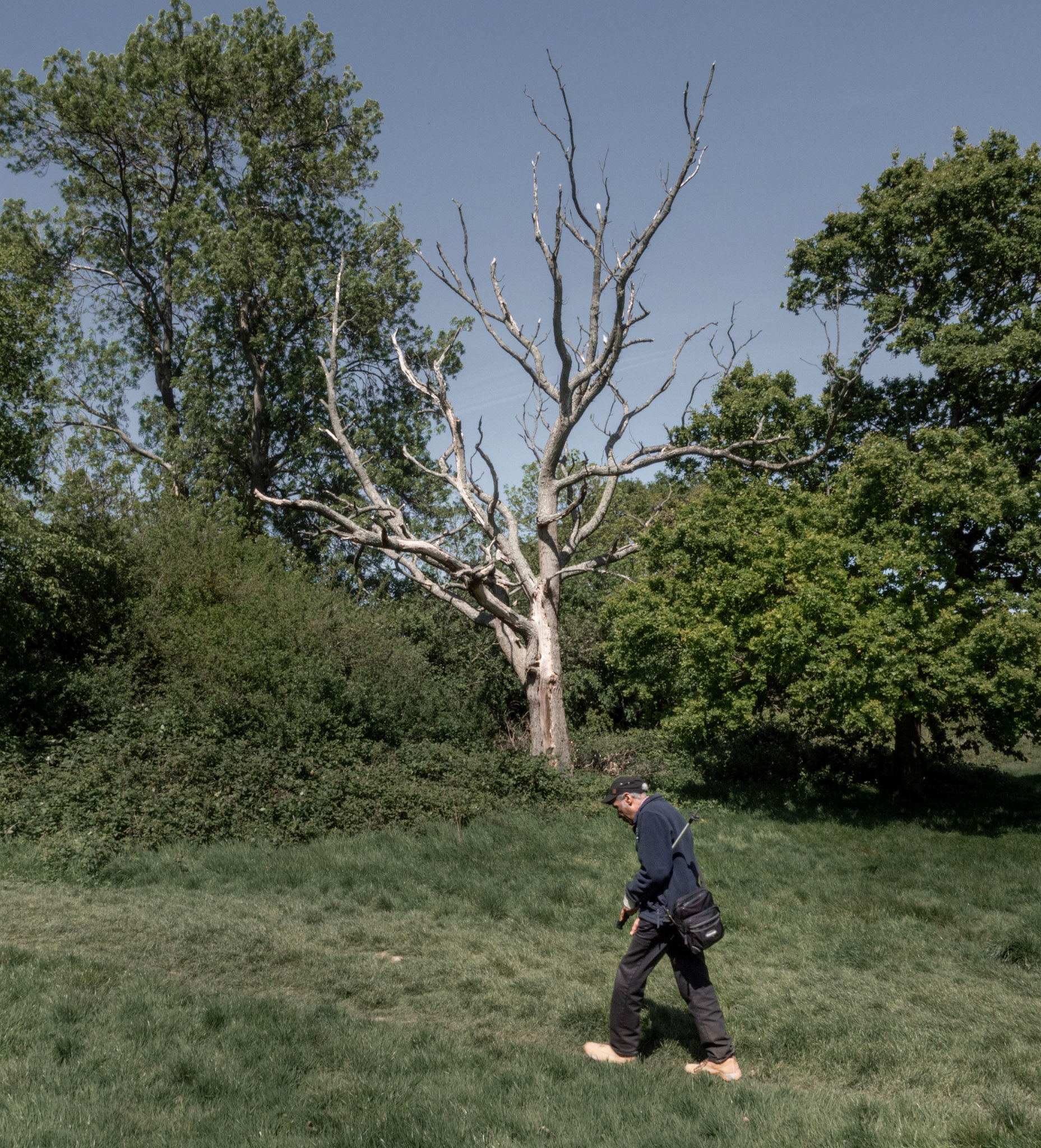 Hampstead Heath