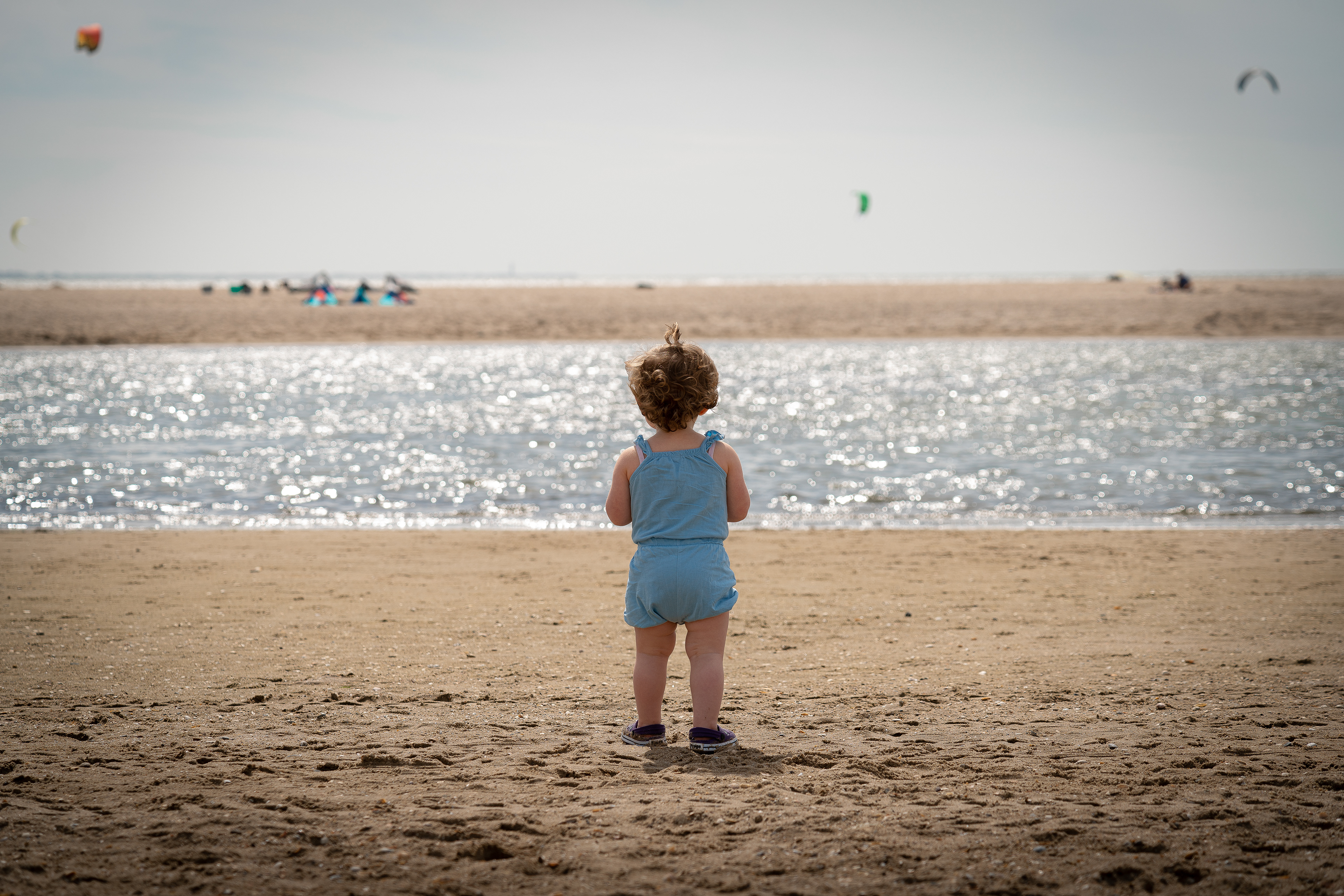 Gaze into the distance