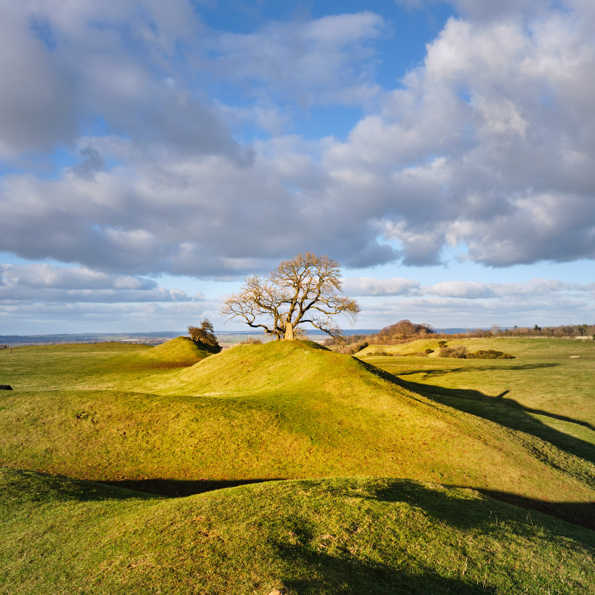 Iron Age Fort, Burrough Hill