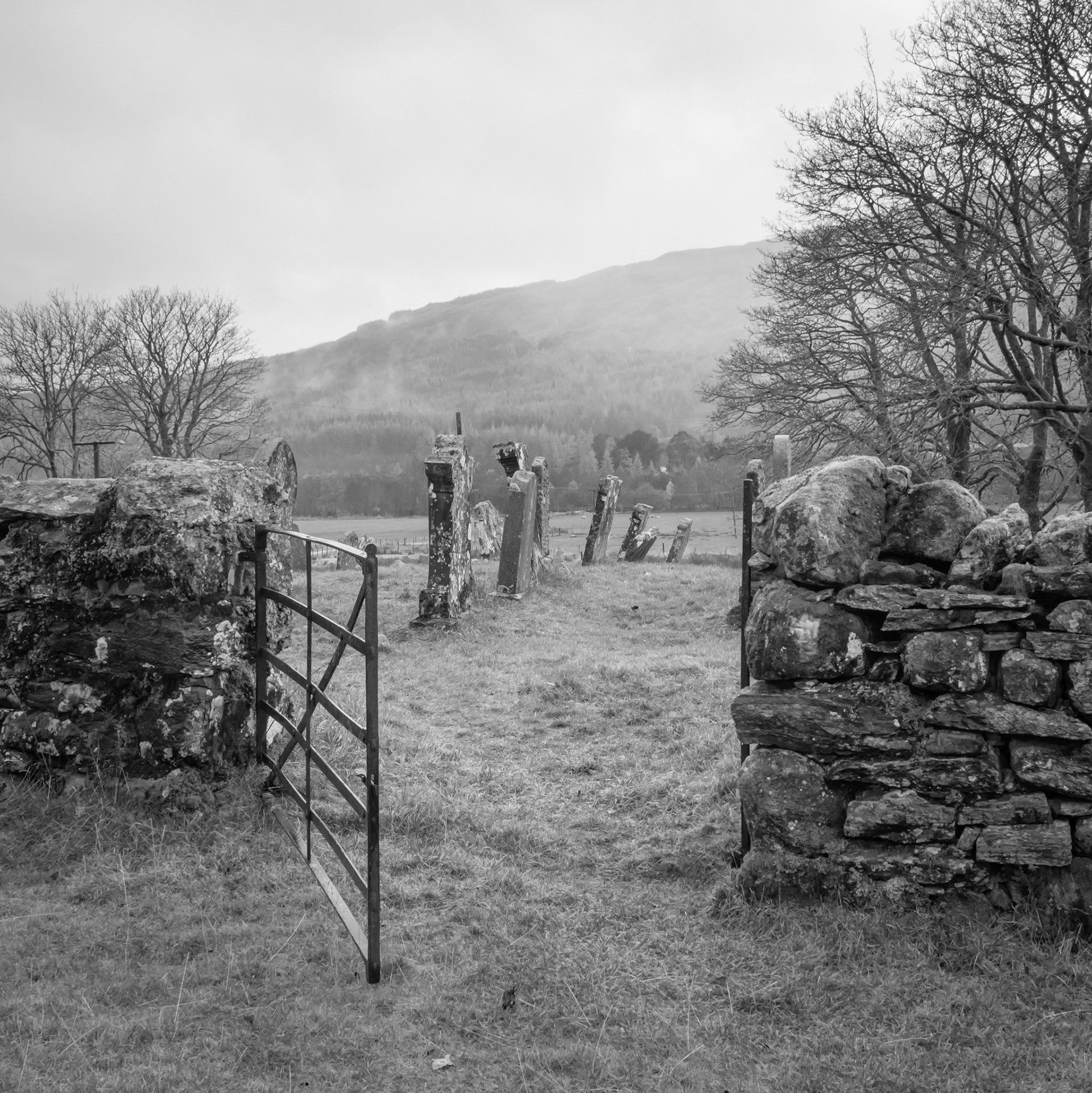 Kirton Ground, Perthshire