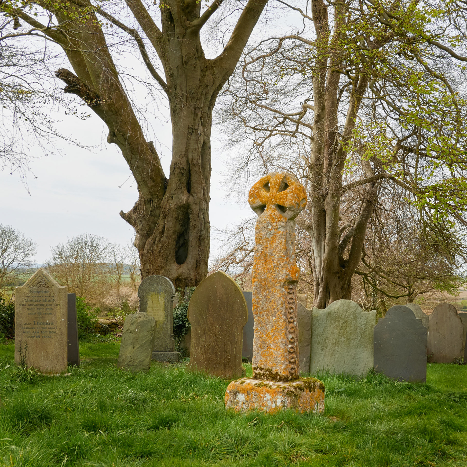 Anglo- Scandinavian Cross, Sproxton