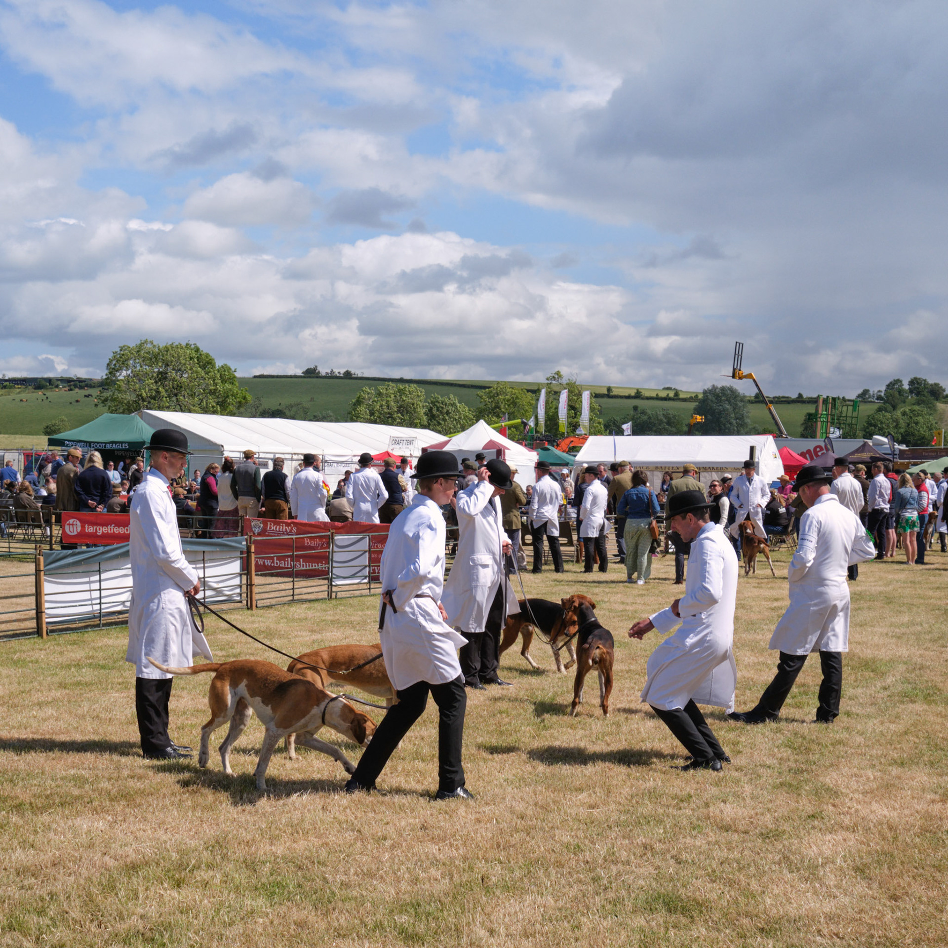 Hound Show, Blaston Fair