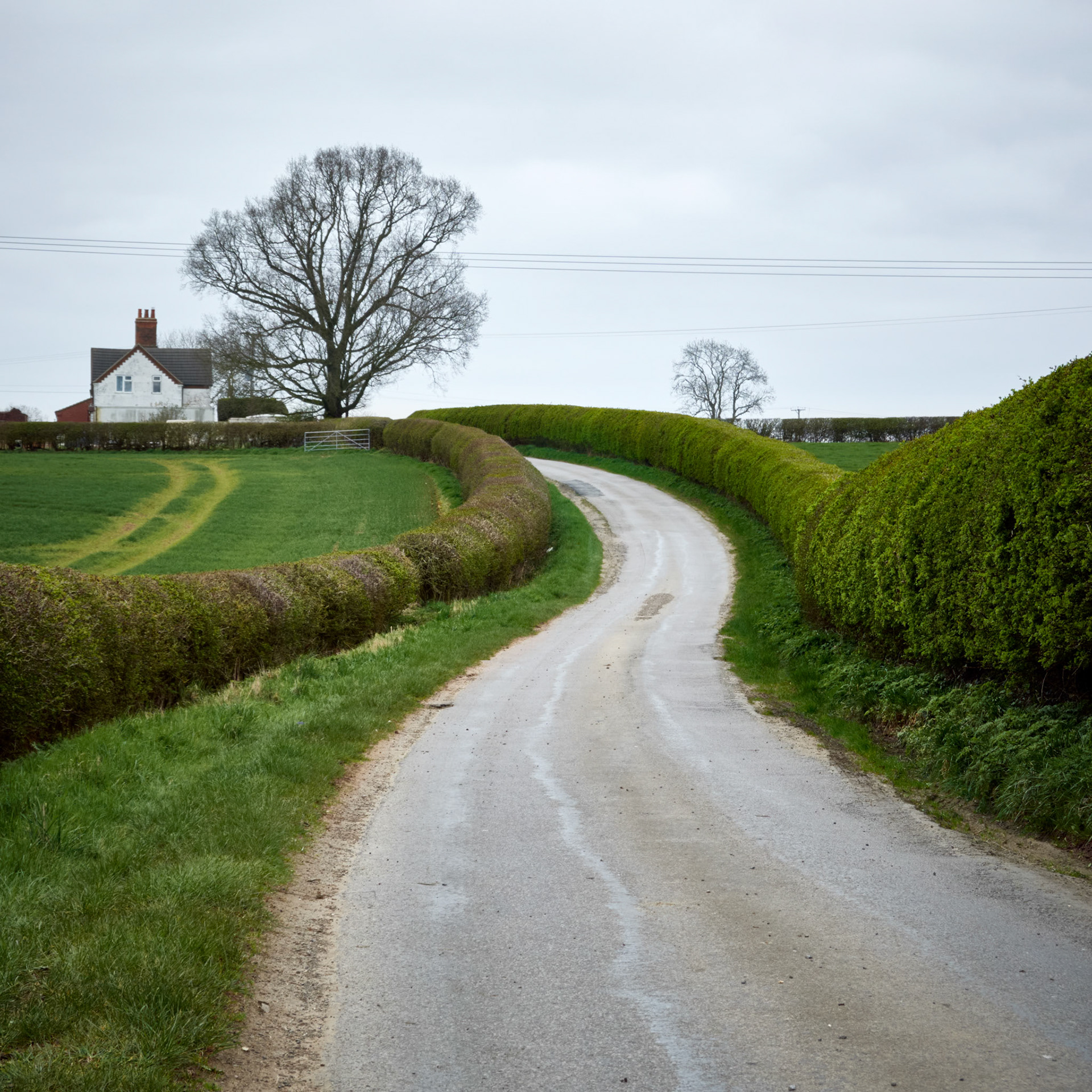 Gibson's Lane, Old Dalby