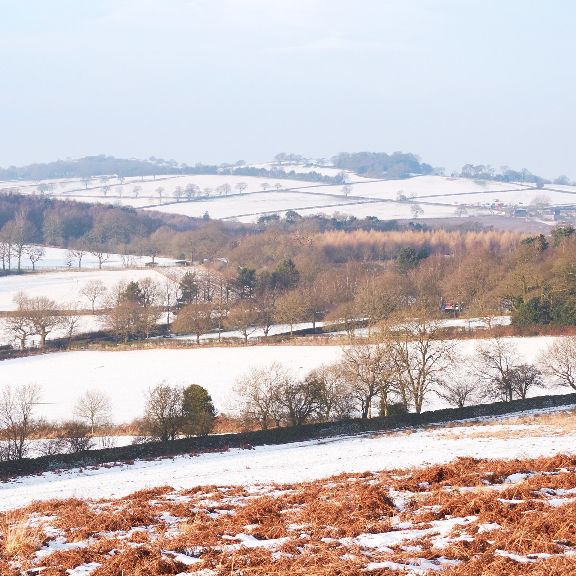 Ulverscroft From Bradgate Park