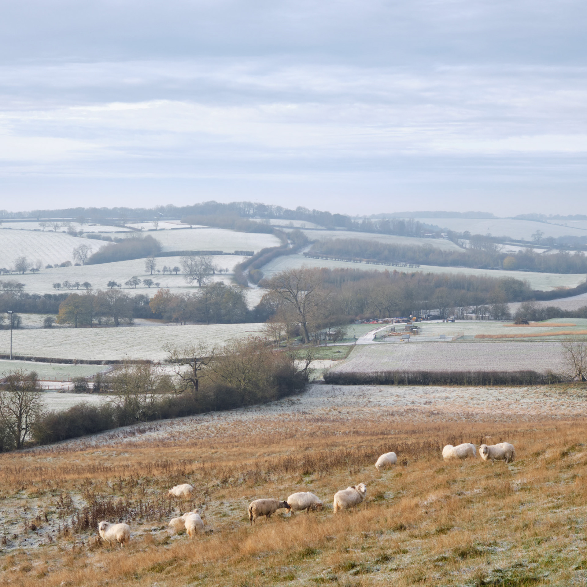 Moor Hill From East Norton