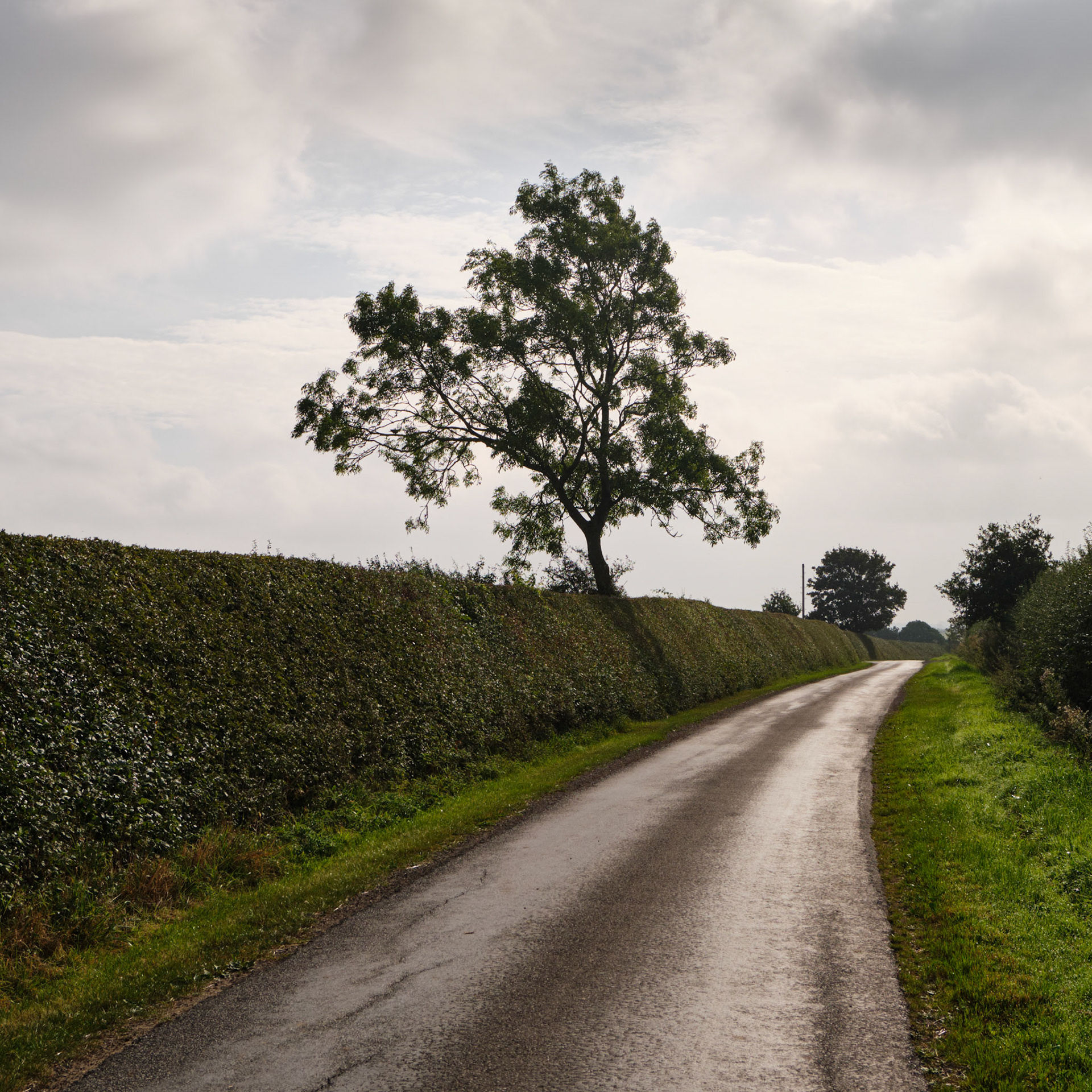 Welham Lane, Welham
