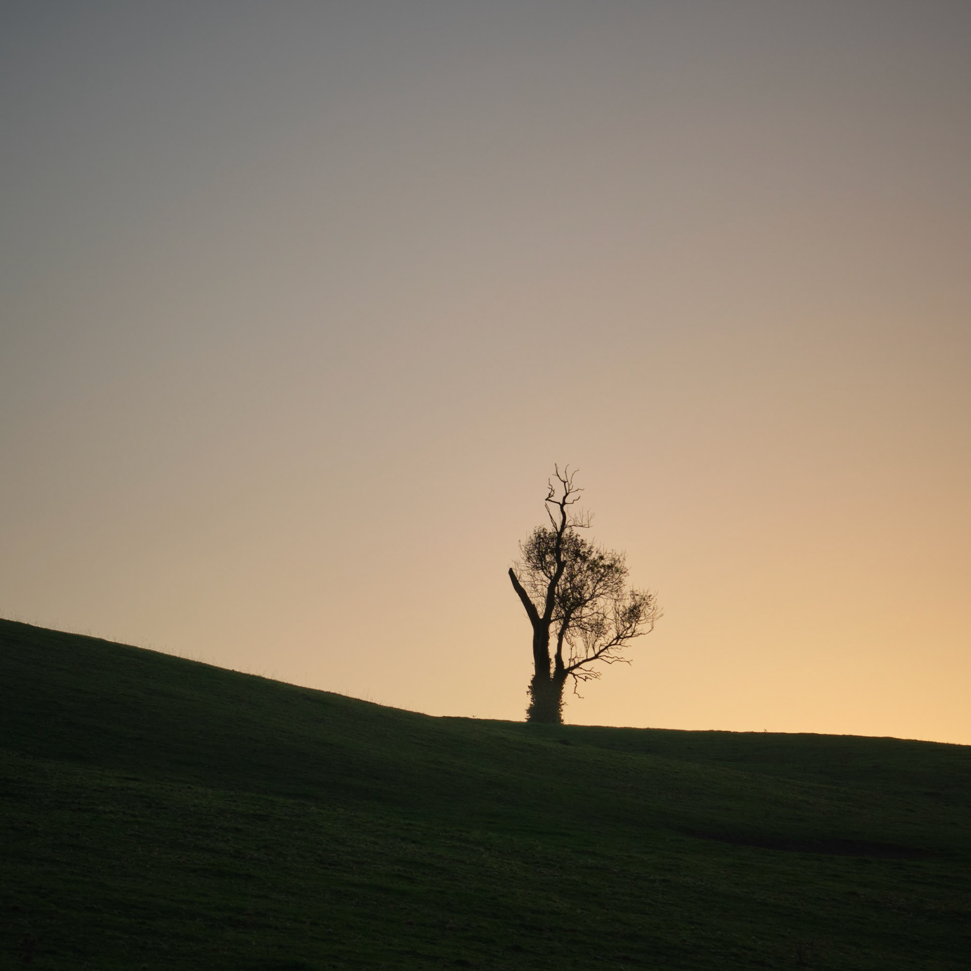 Belcher's Hill, Horninghold