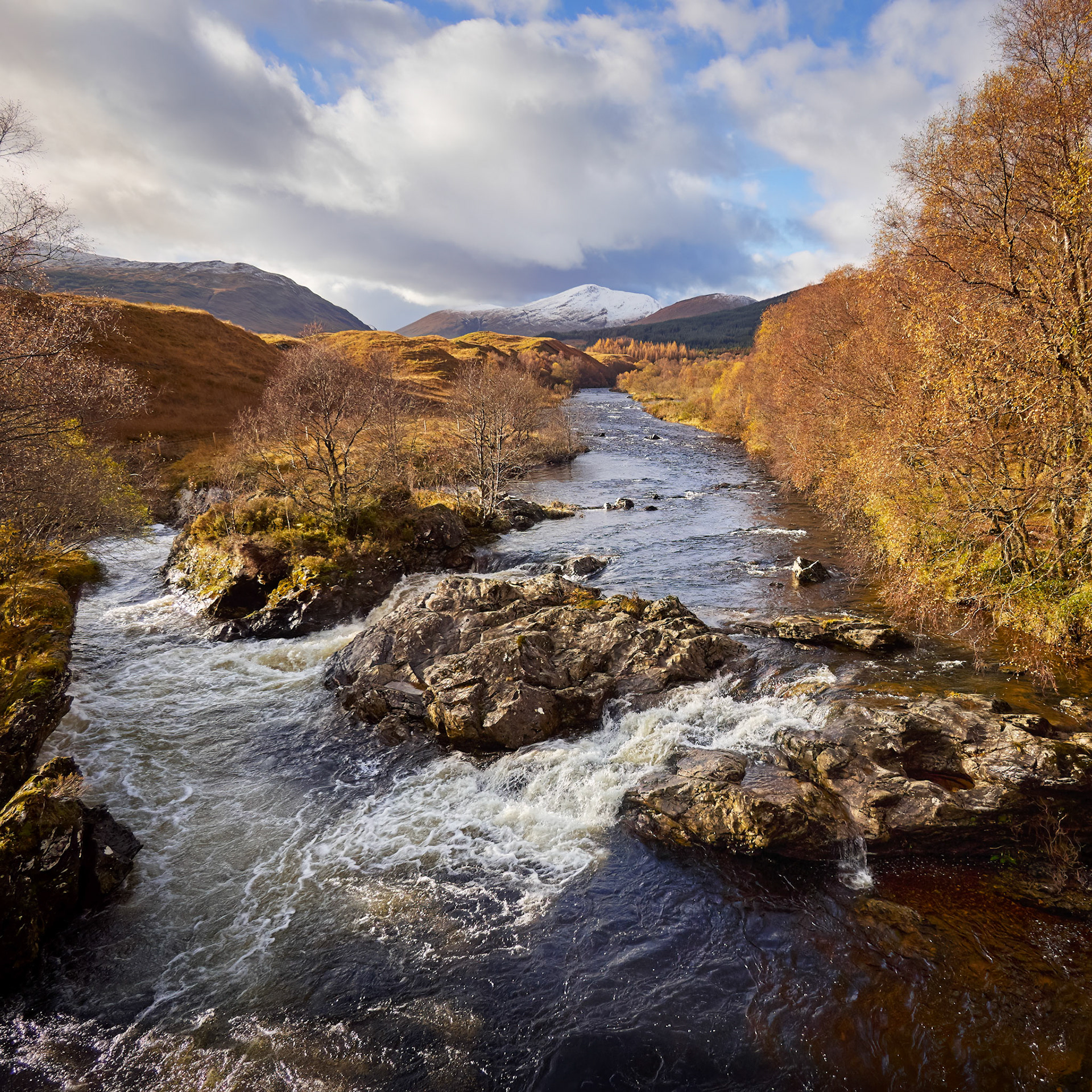 River Coronish, Dalrigh