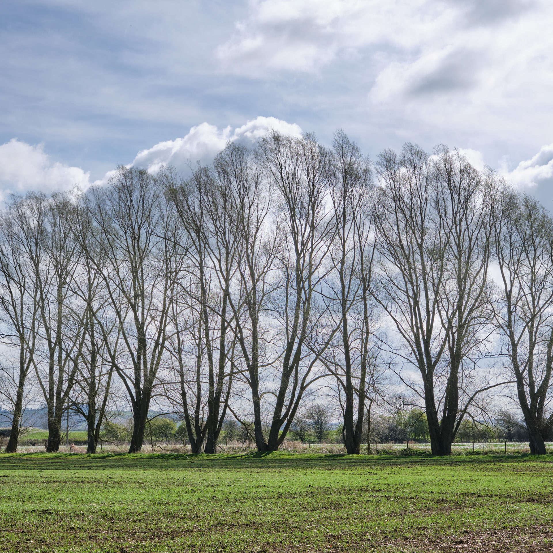River Wellland, Welham