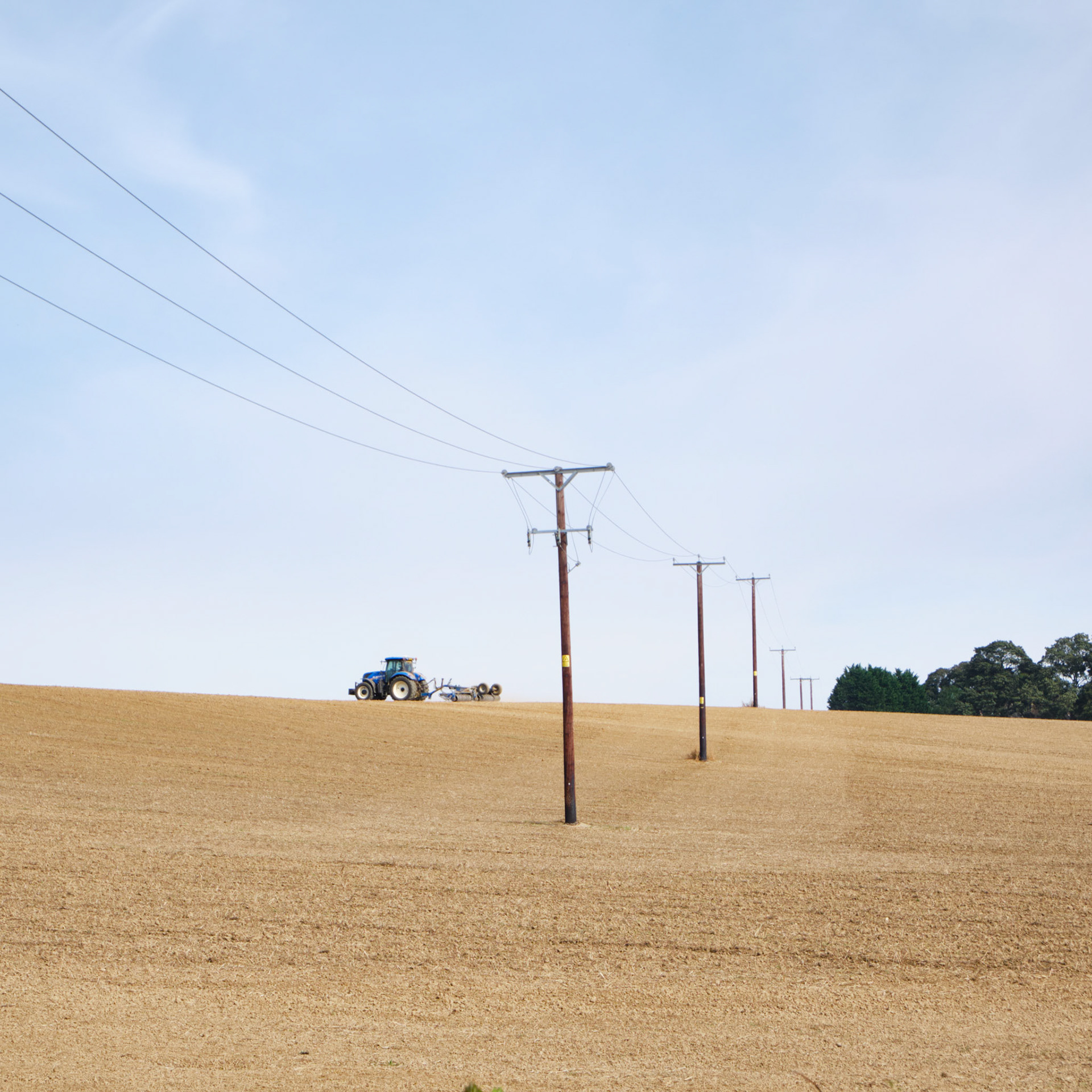 Fields, Cranoe