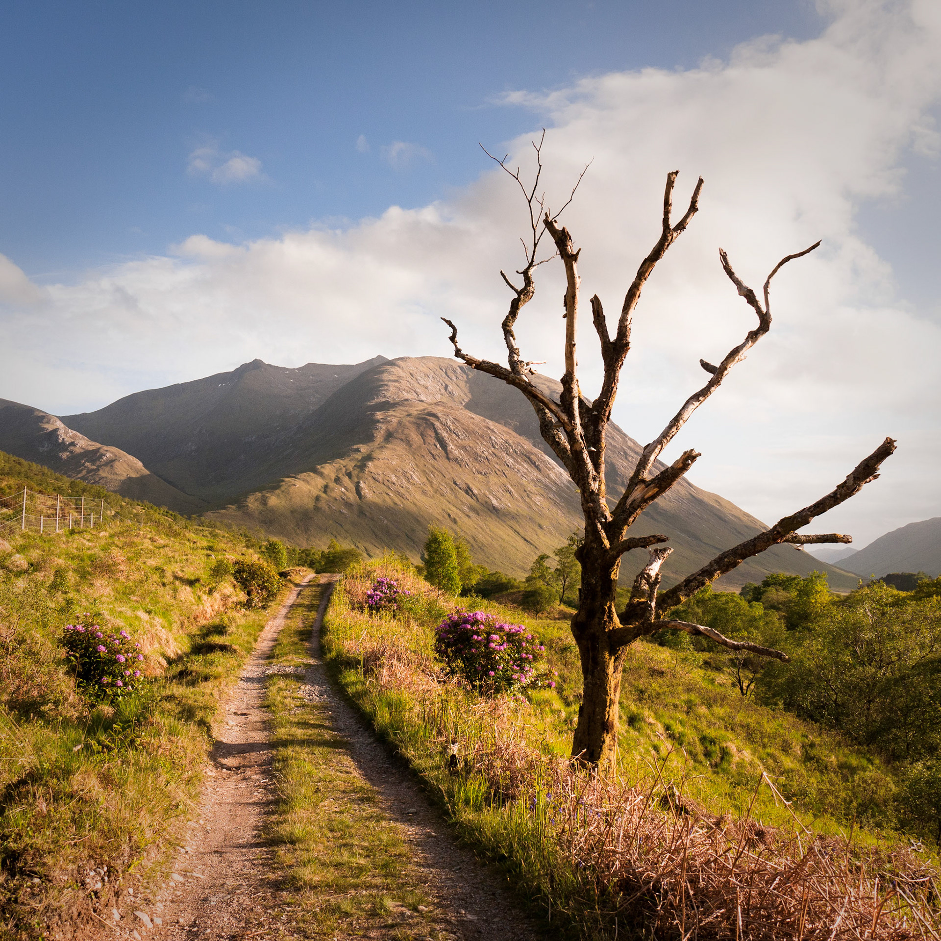 Ben Starav, Cumbria