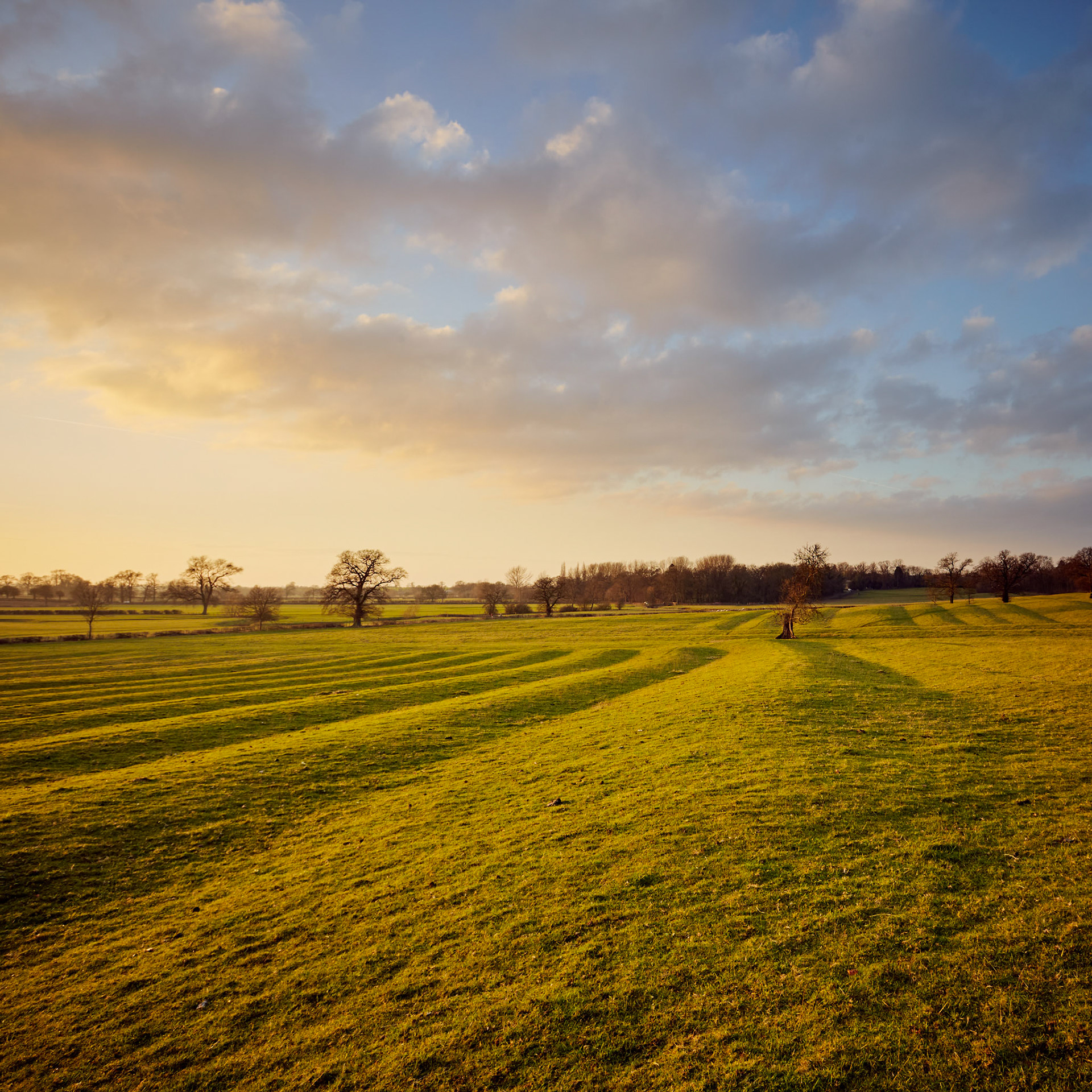 Medieval Fields, Wistow