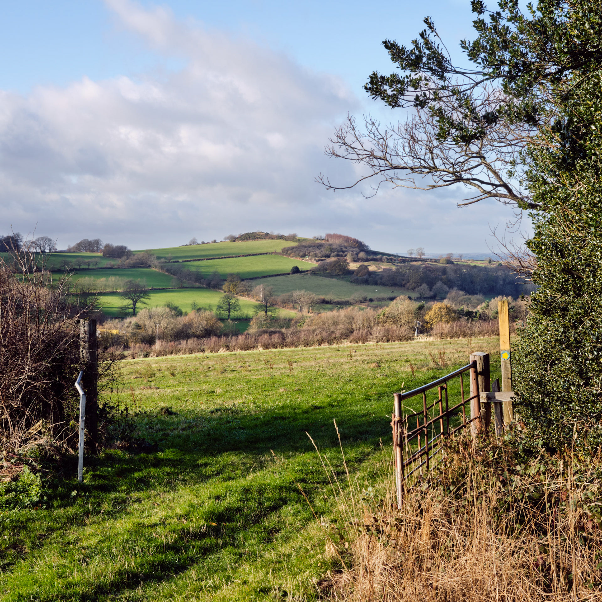 Ives Head From Ingleberry Lodge