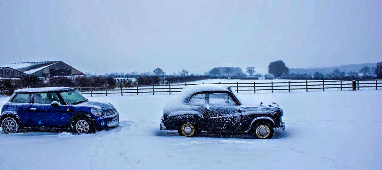 Percy in the snow
