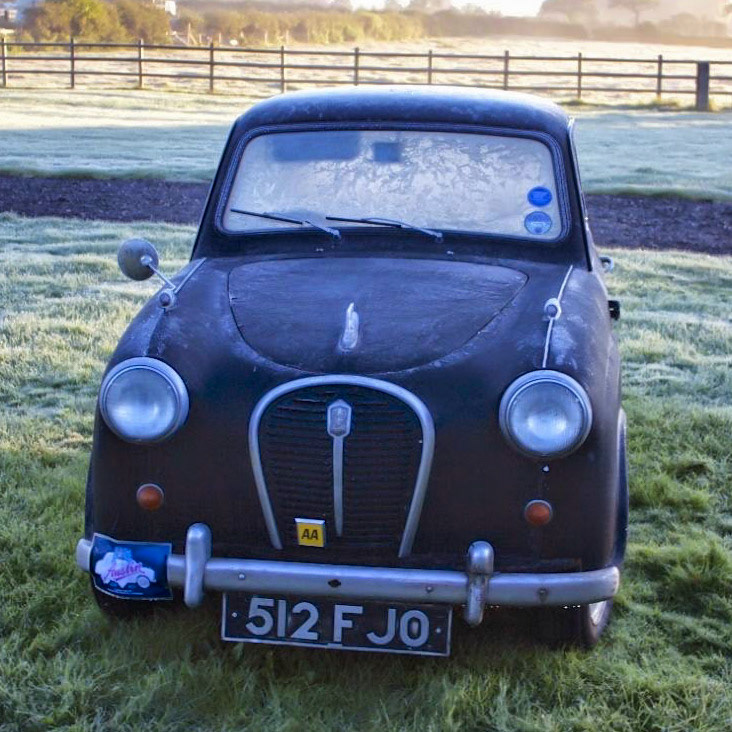Percy on a frosty morning