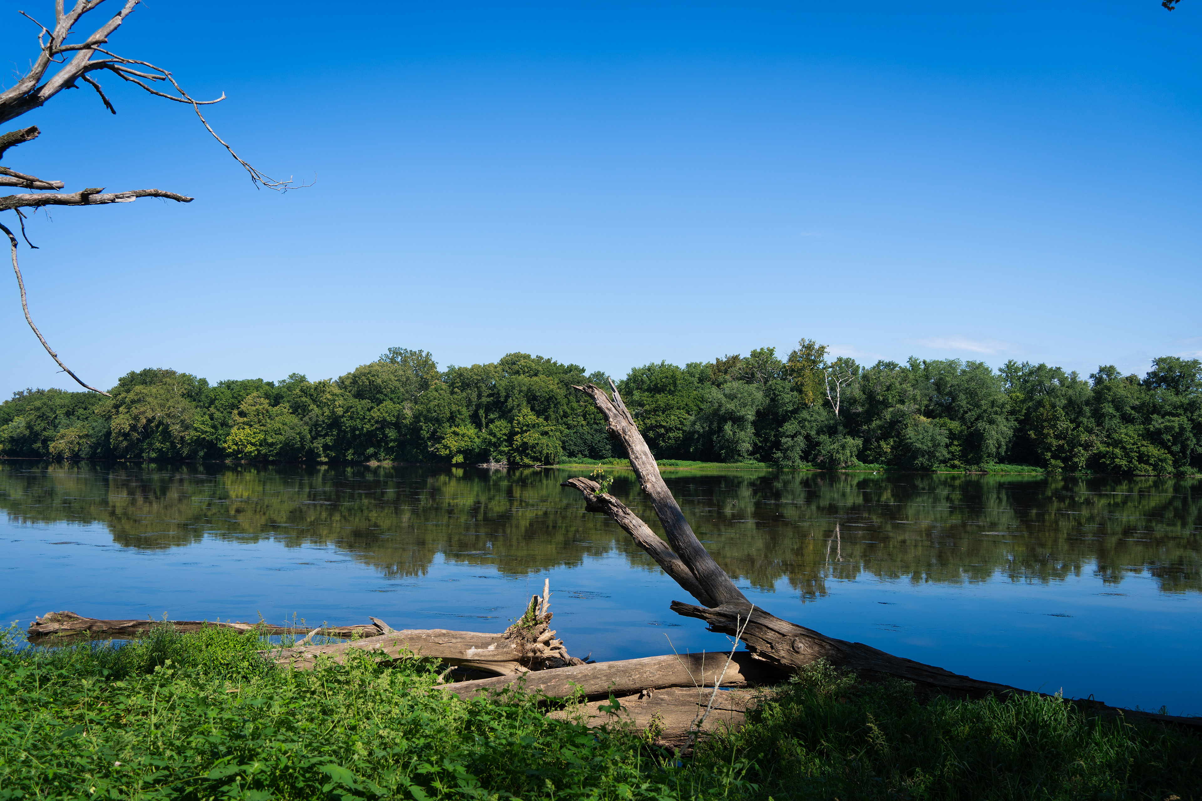 Sony FE 28-60 / Sony Alpha 7C