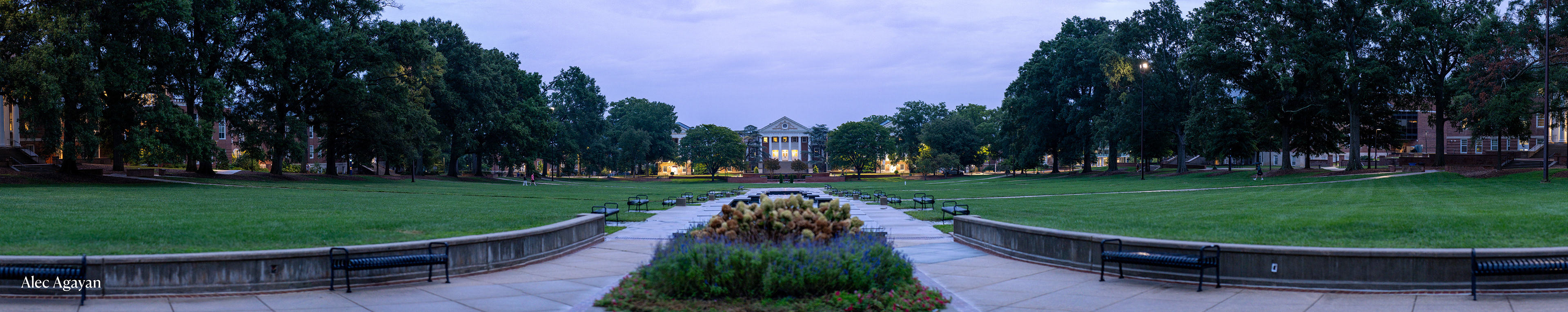 ZEISS Batis 85 / Sony Alpha 7C