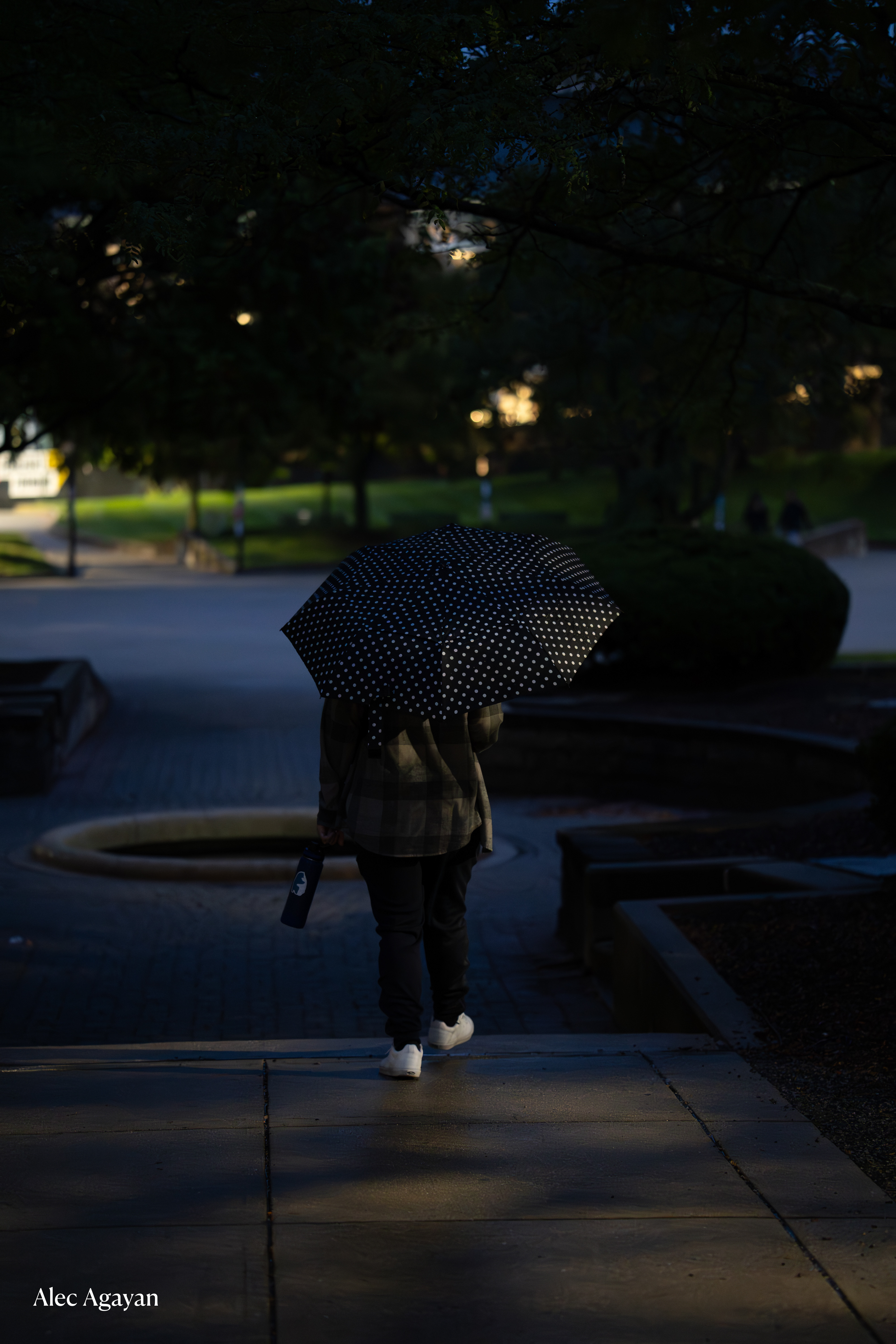 ZEISS Batis 85 / Sony Alpha 7C