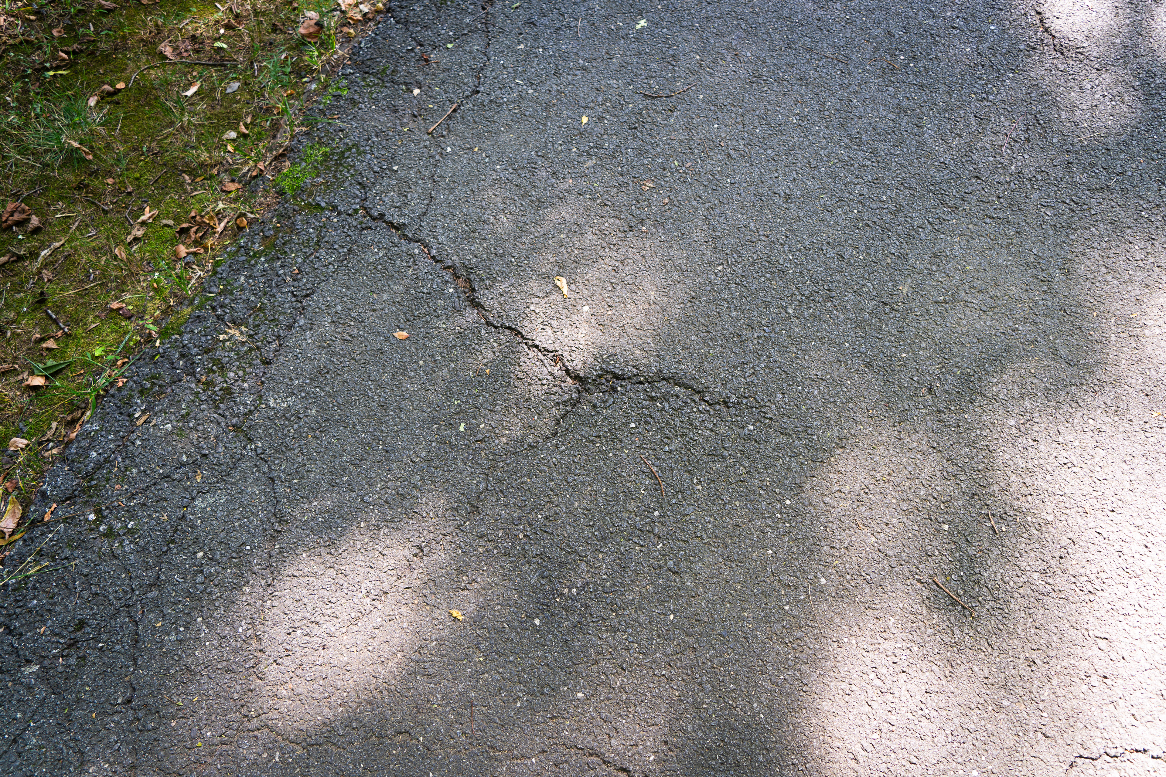 Sony FE 28-60 / Sony Alpha 7C