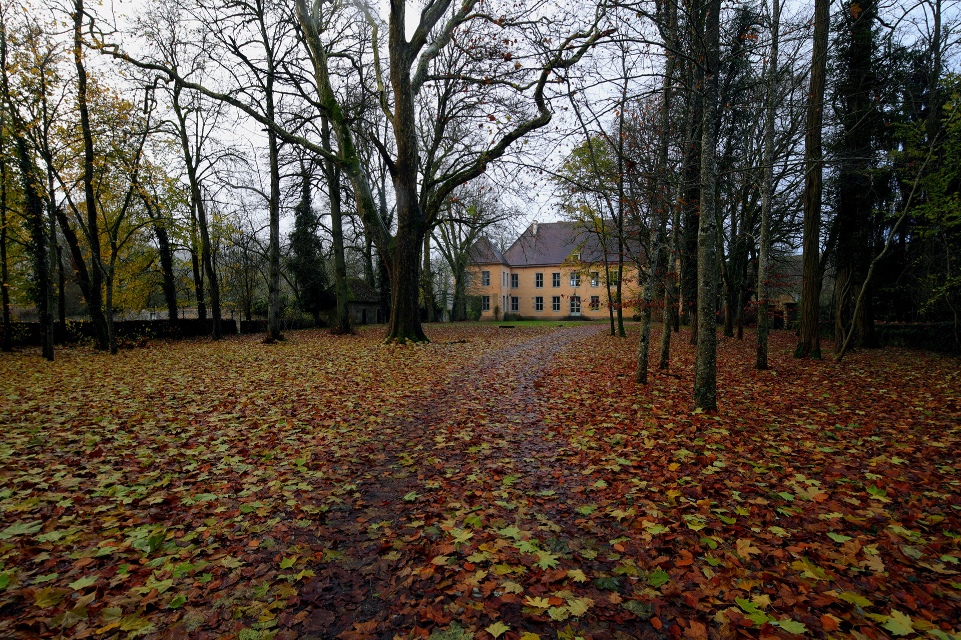 Château de Voudenay