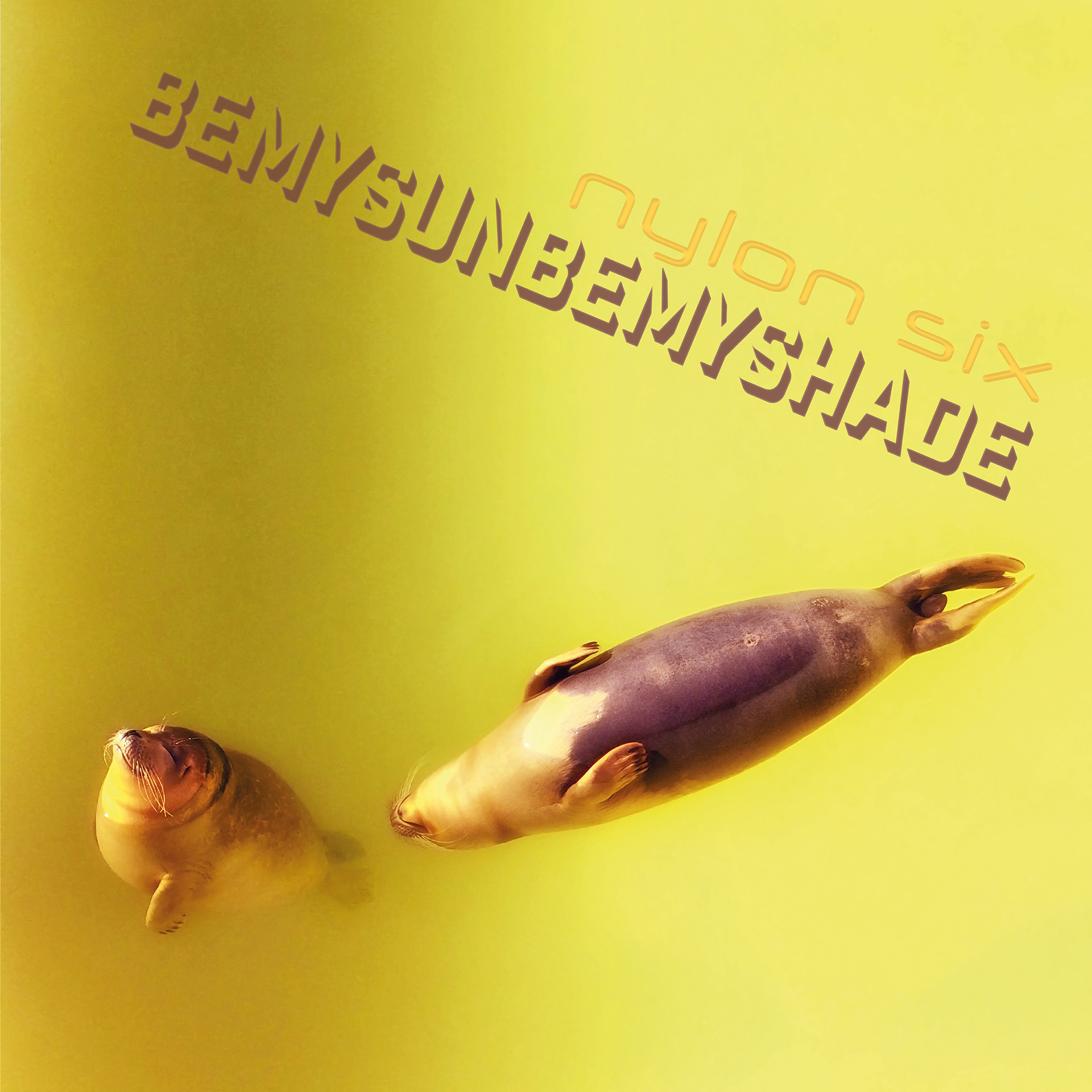 Single BEMYSUNBEMYSHADE