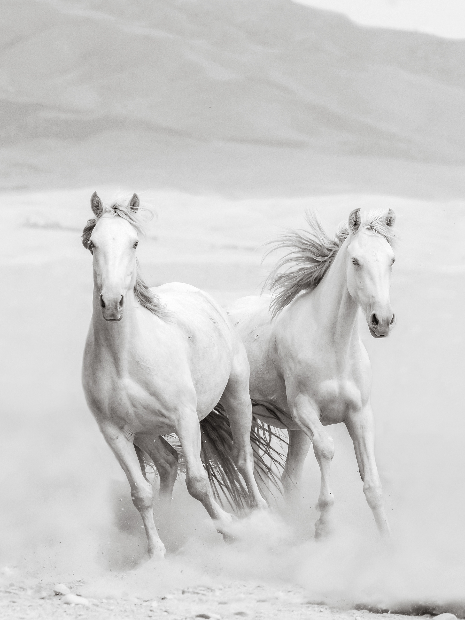 DESERT ANGELS 2021