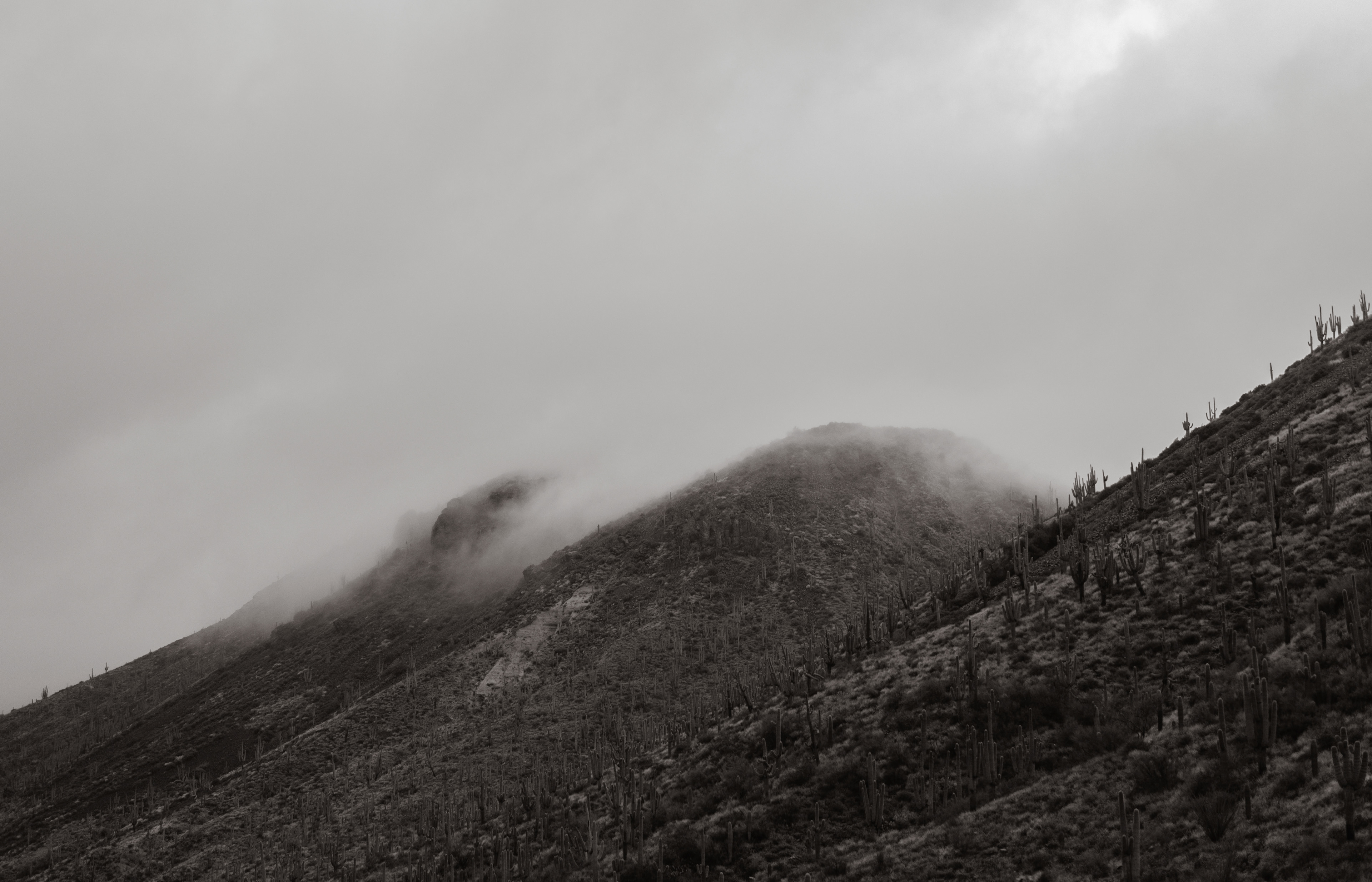 THE DESERT REMEMBERS 2024