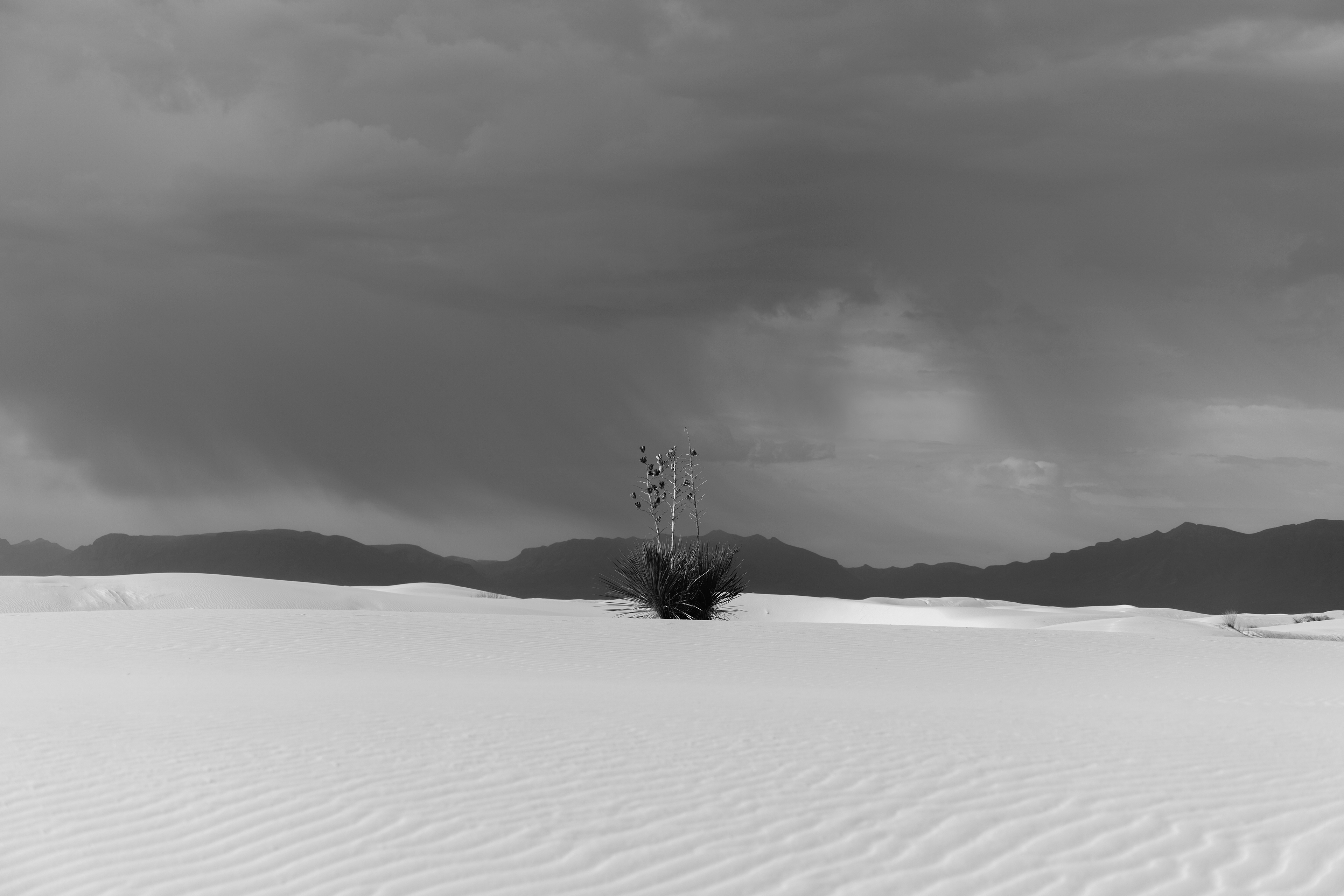 DESERT HUES 2023