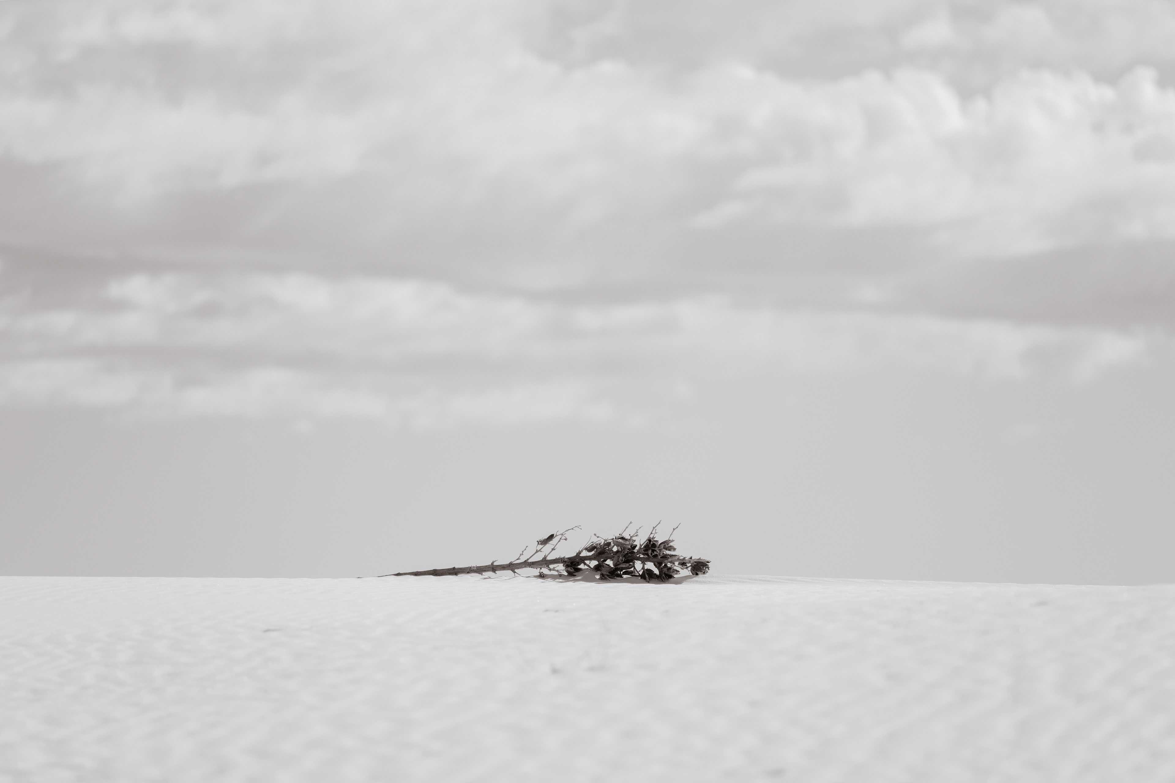 FRAGILITY 2023