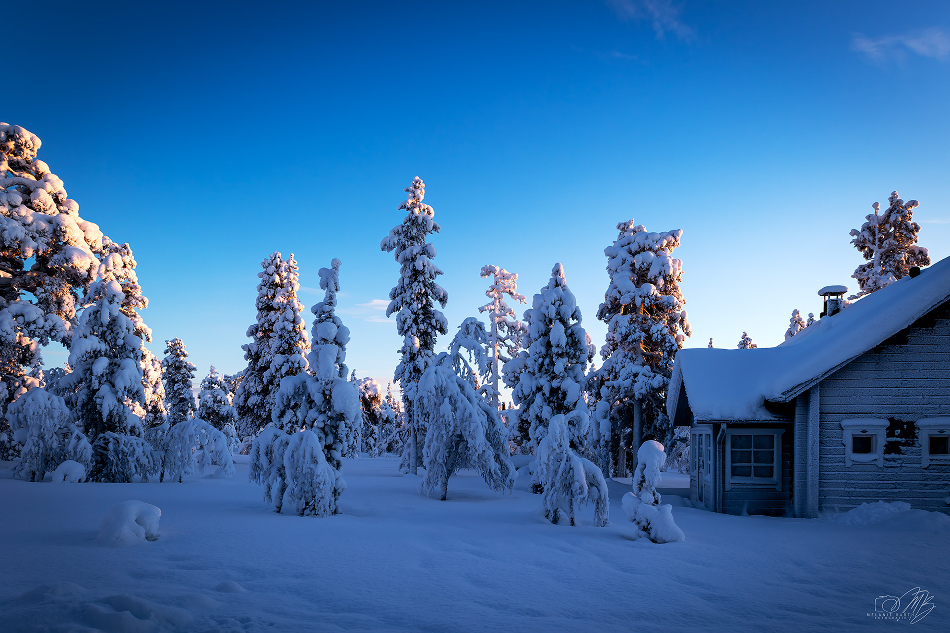 06 - Warmes Abendlicht