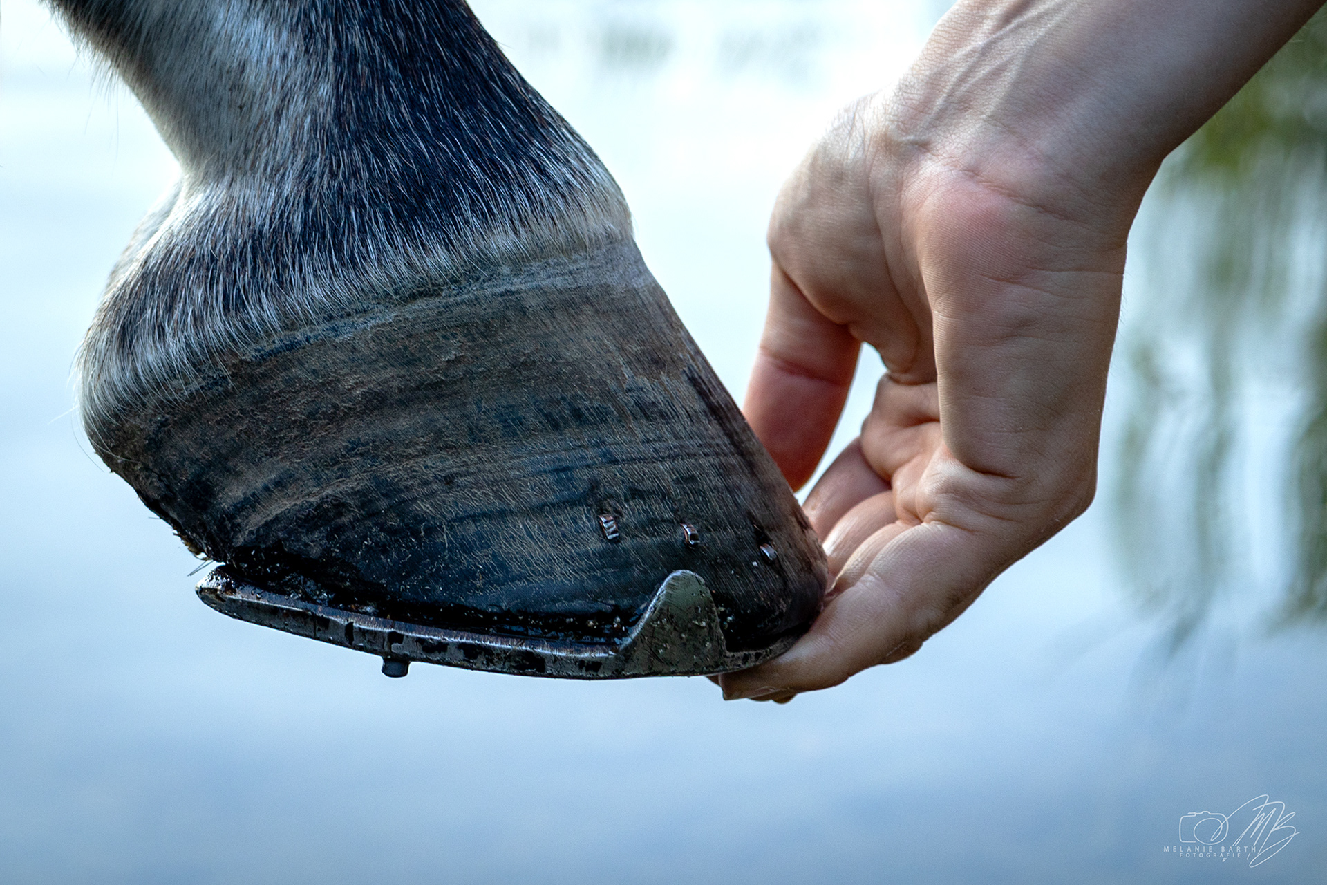 Vertrauen in der Hand